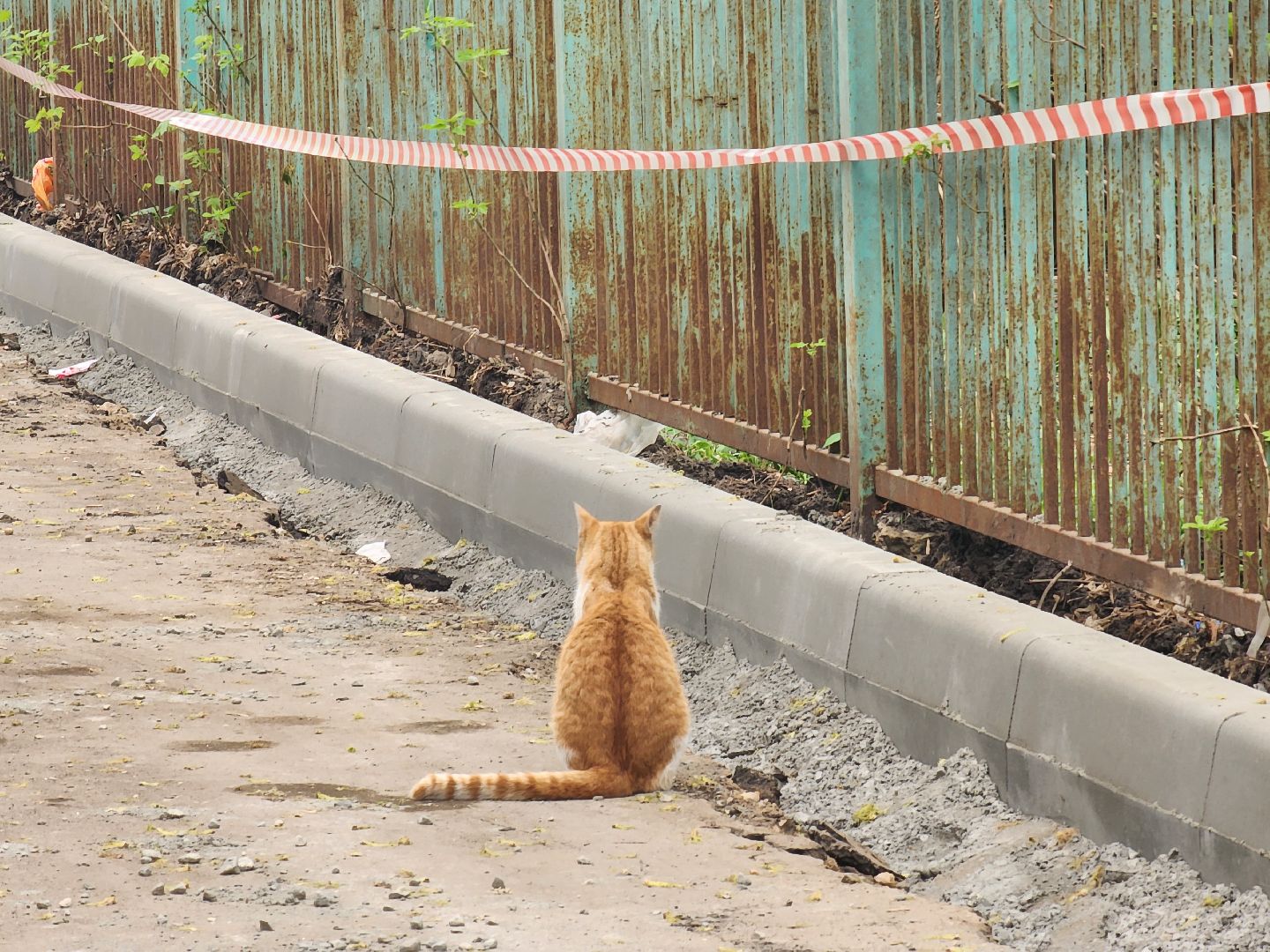 ногинск, благоустройство, ремонт, дворы, дороги, жители,