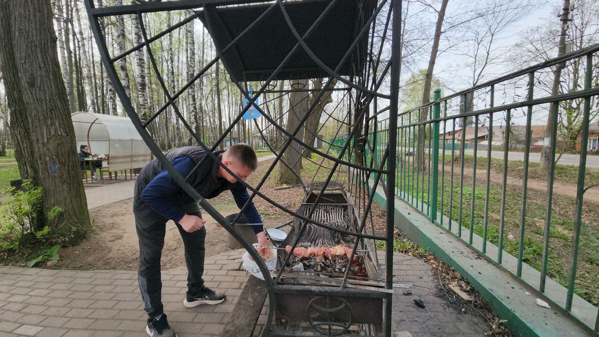 пушкино, берёзовая роща, шашлыки, отдых на природе,