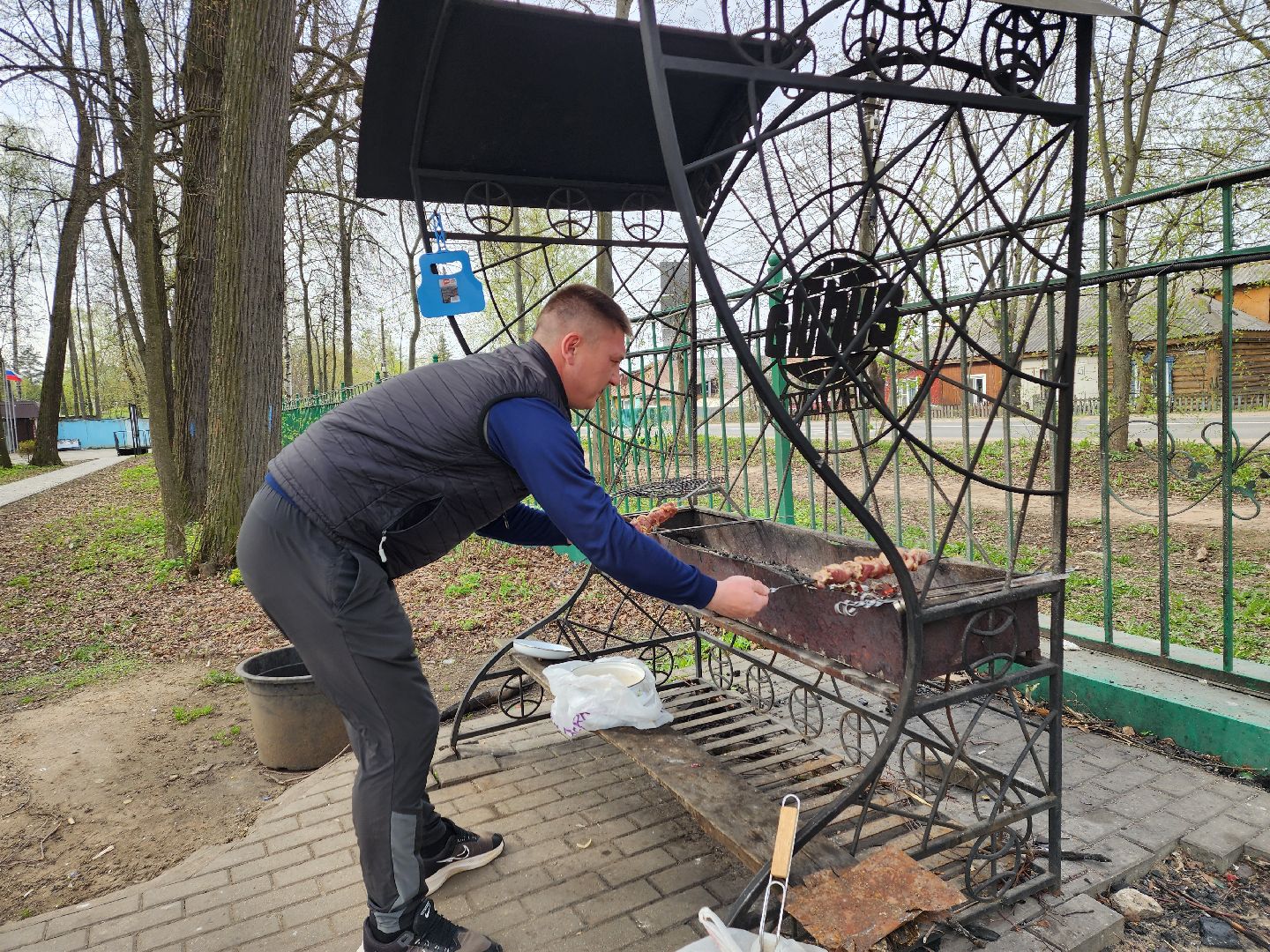 пушкино, берёзовая роща, шашлыки, отдых на природе,