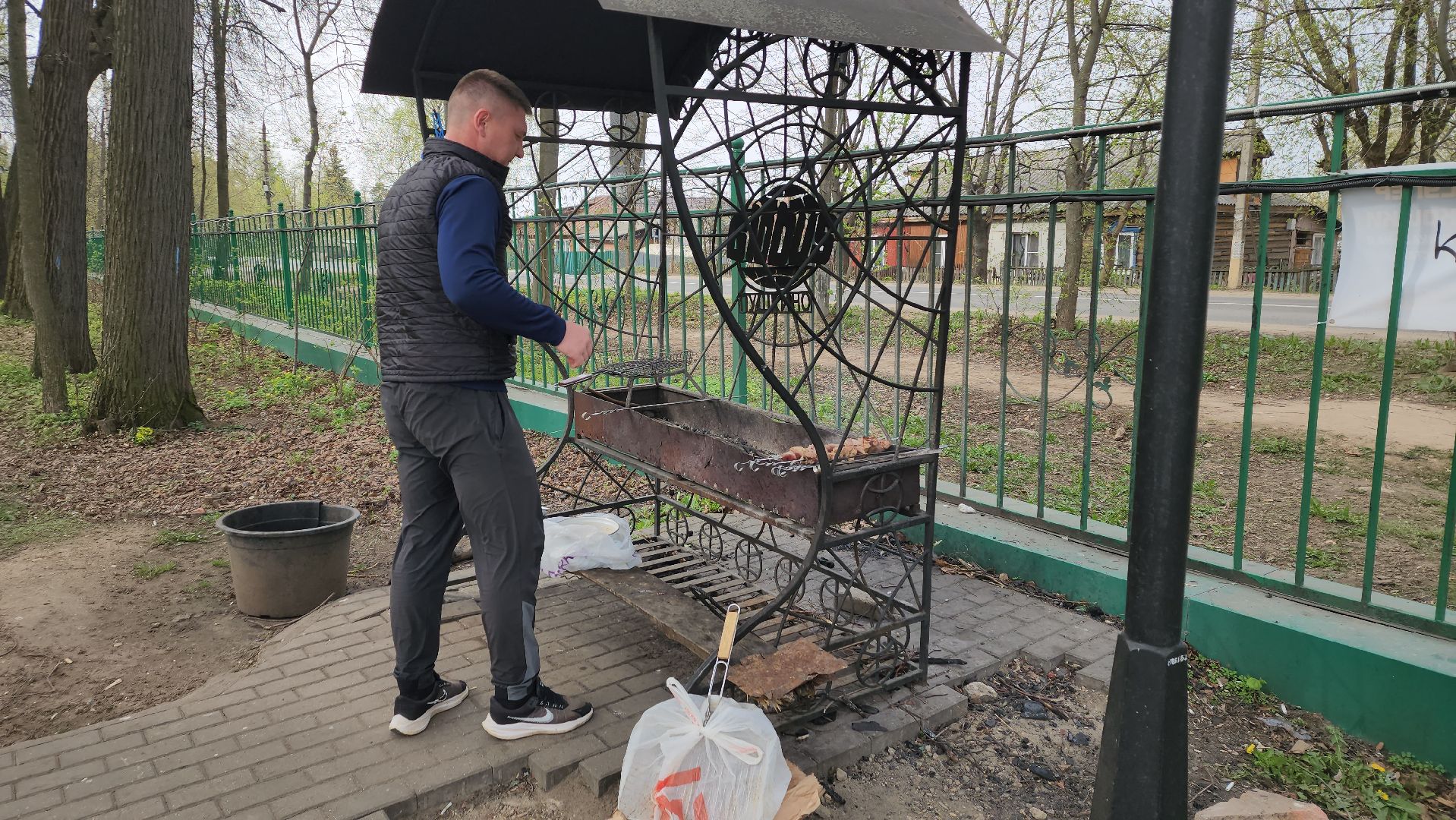 пушкино, берёзовая роща, шашлыки, отдых на природе,