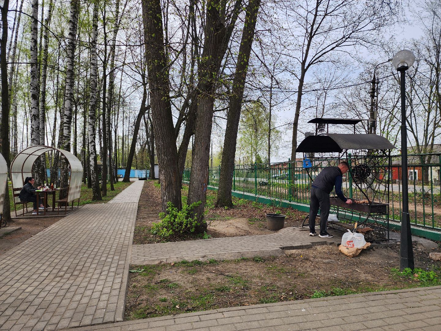 пушкино, берёзовая роща, шашлыки, отдых на природе,