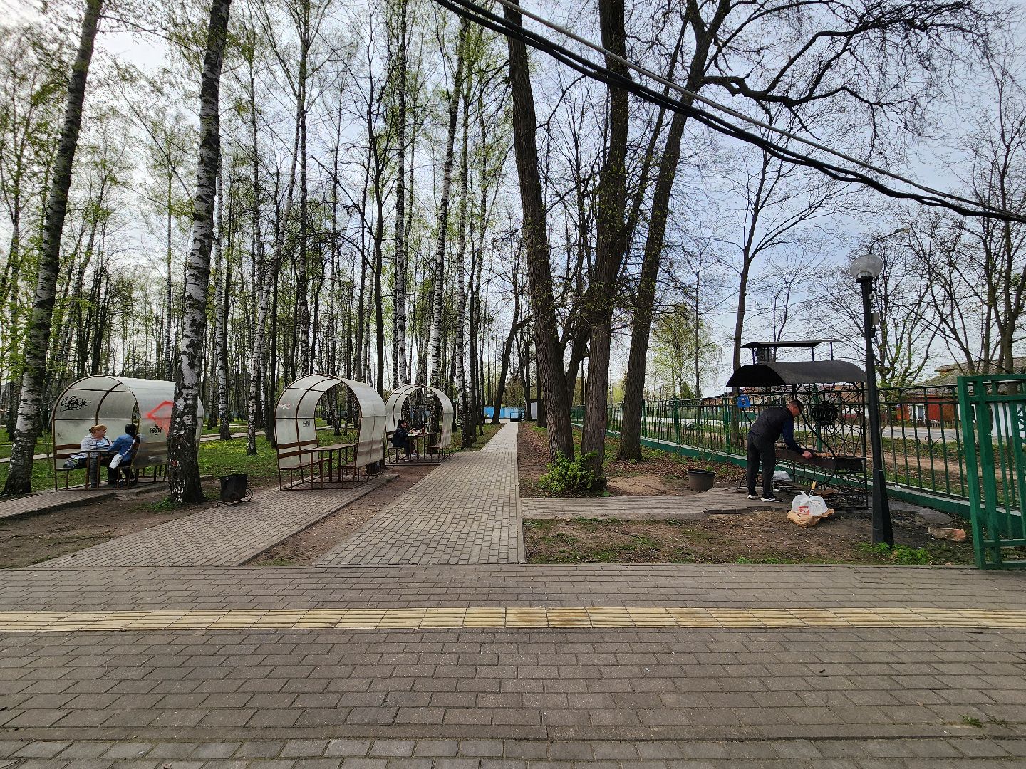 пушкино, берёзовая роща, шашлыки, отдых на природе,