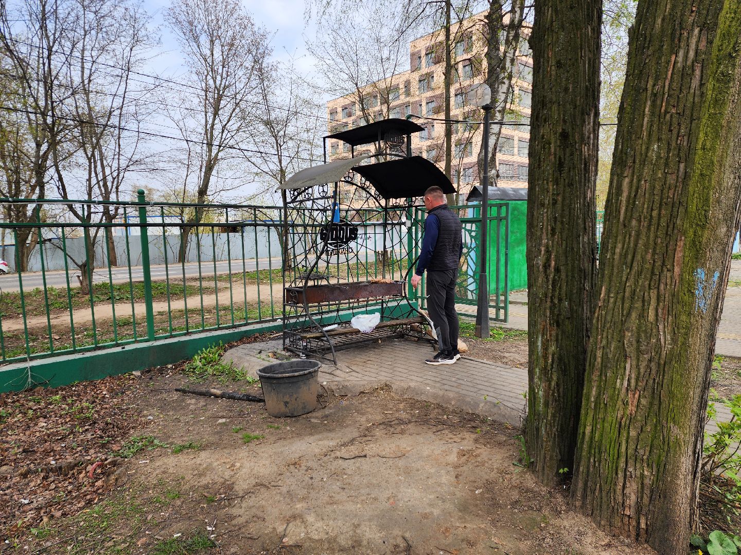 пушкино, берёзовая роща, шашлыки, отдых на природе,