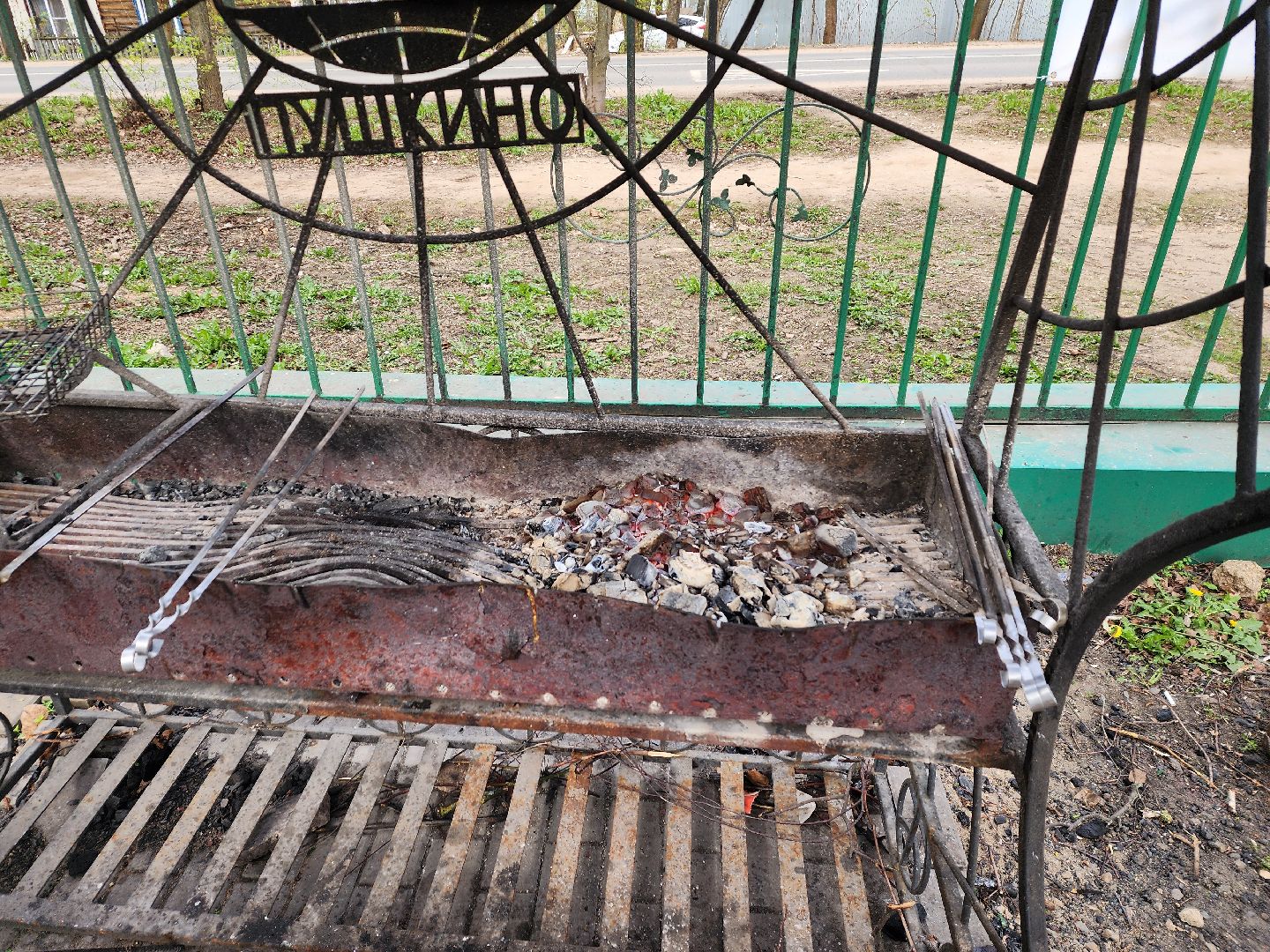 пушкино, берёзовая роща, шашлыки, отдых на природе,