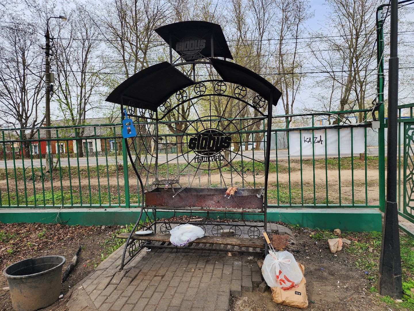 пушкино, берёзовая роща, шашлыки, отдых на природе,