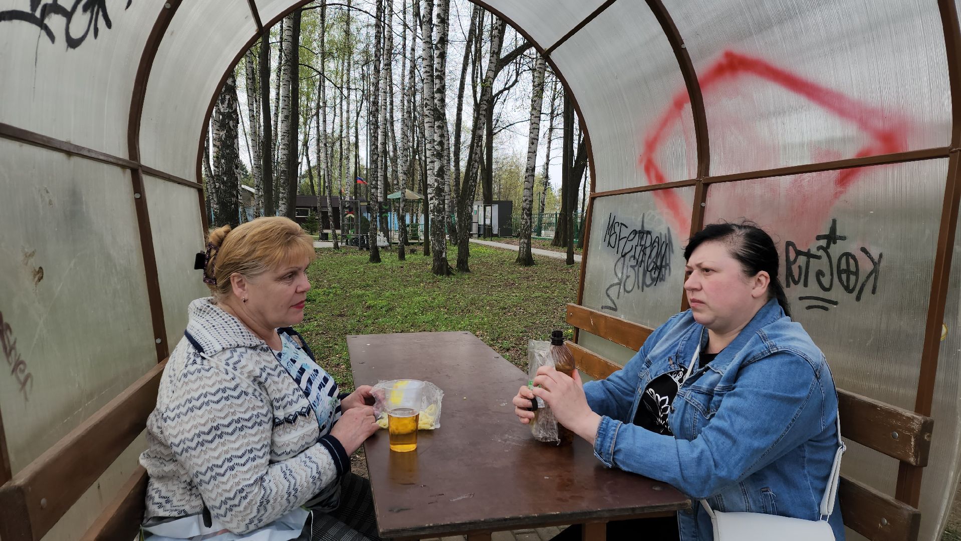 пушкино, берёзовая роща, шашлыки, отдых на природе,