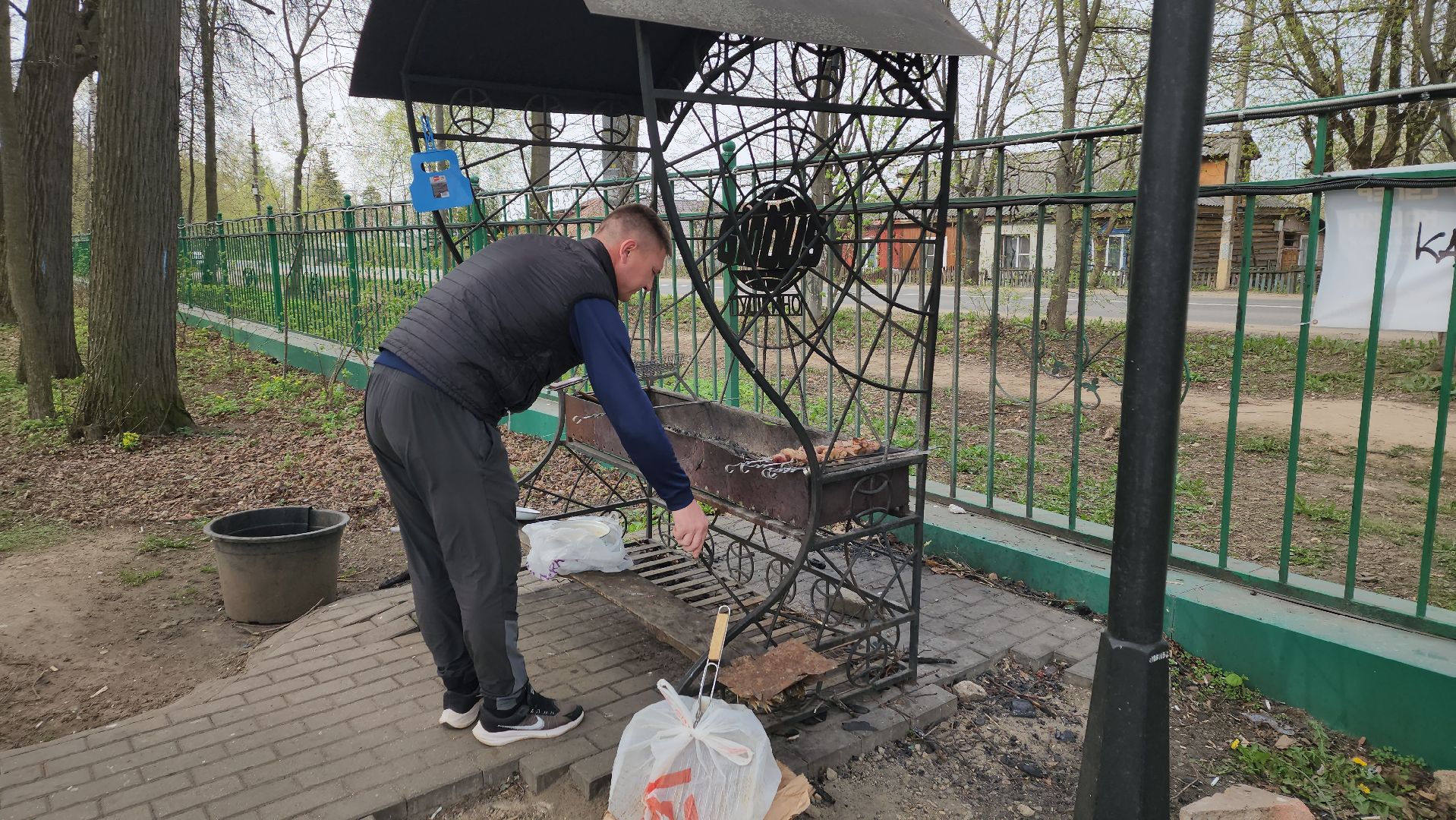 пушкино, берёзовая роща, шашлыки, отдых на природе,