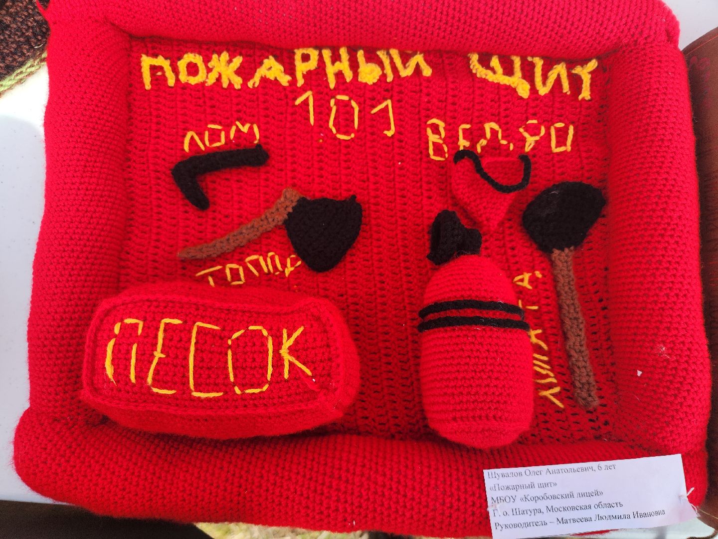 добровольное пожарное общество, добровольная пожарная охрана, пожароопасный сезон, Боровково, Богородский городской округ,