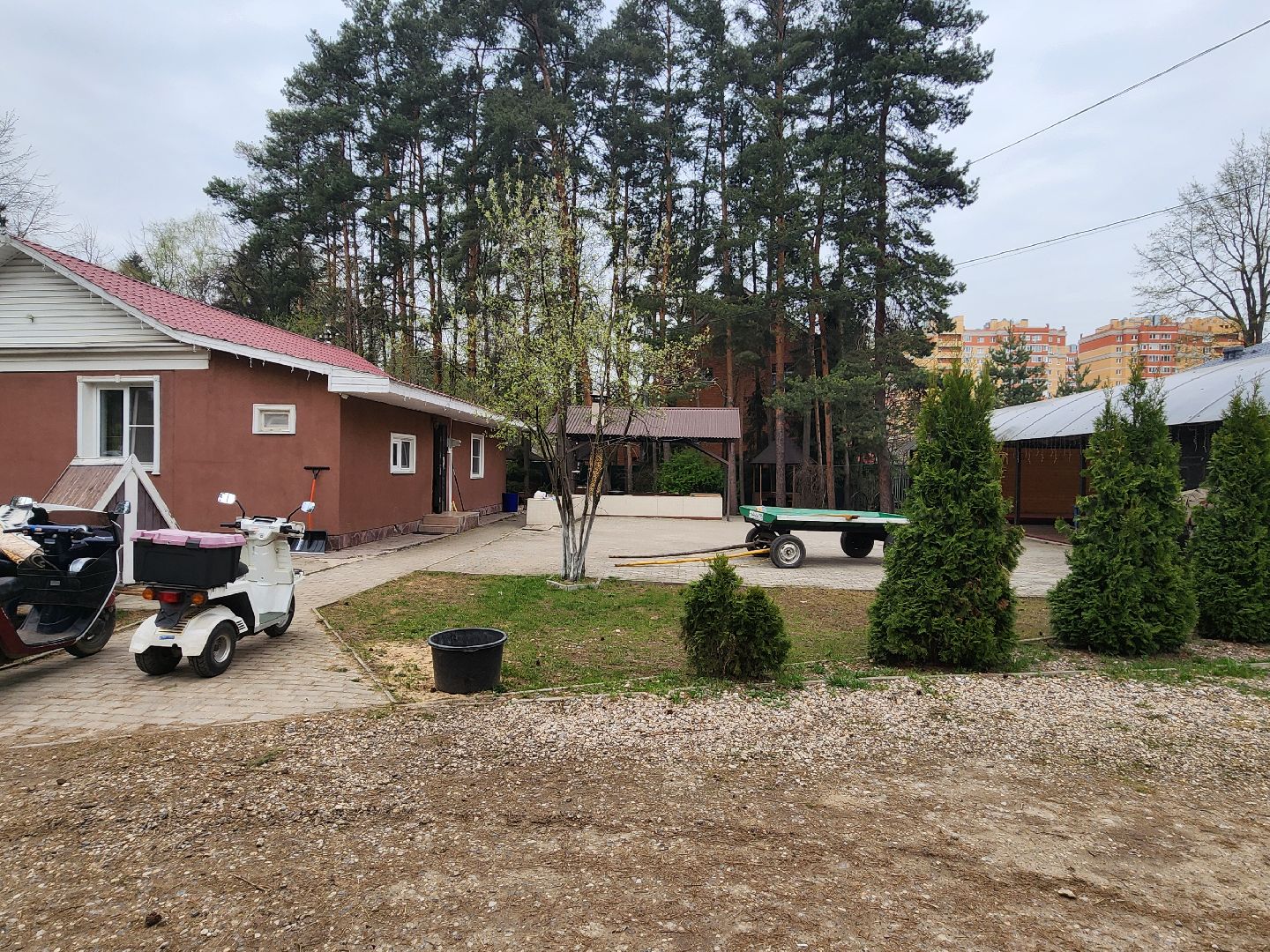 пушкино, шашлыки, зона для отдыха, снт,