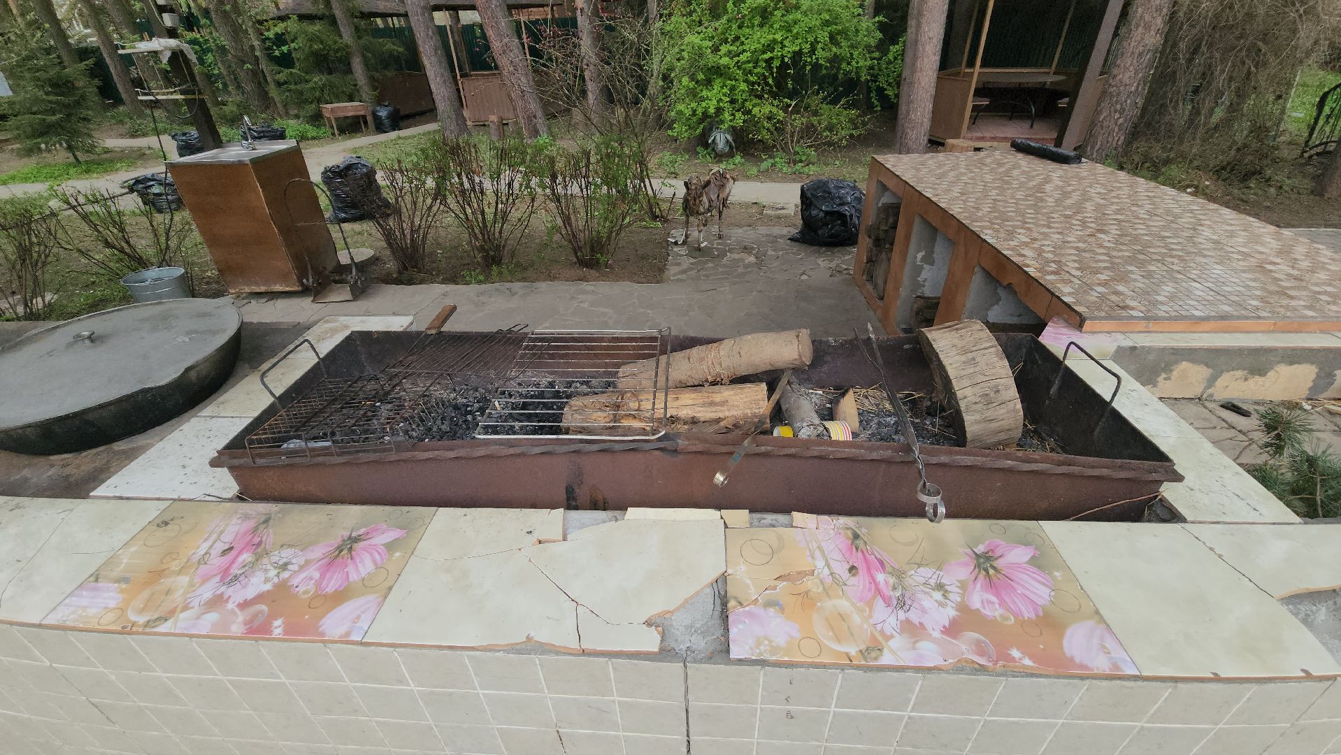 пушкино, шашлыки, зона для отдыха, снт,