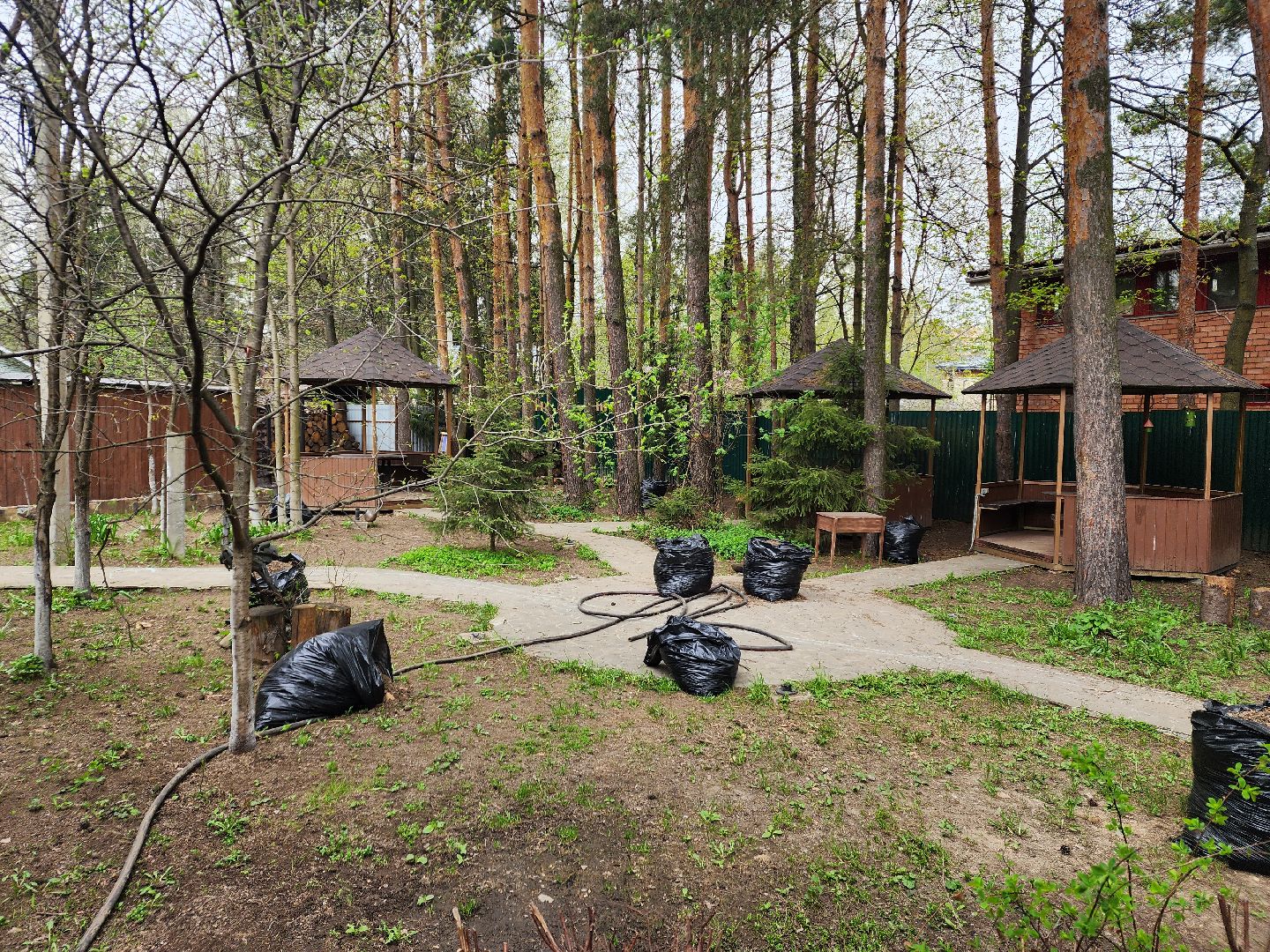 пушкино, шашлыки, зона для отдыха, снт,