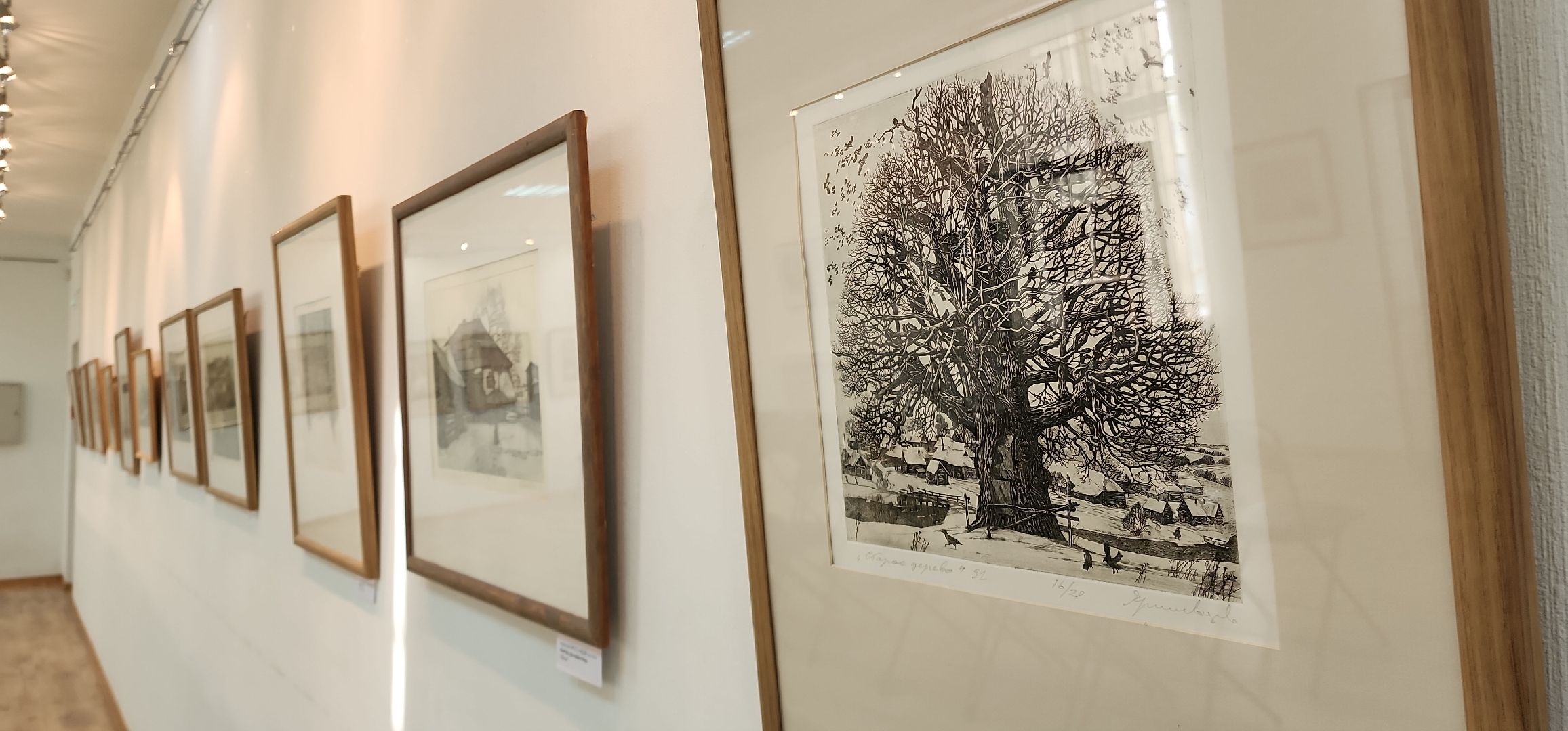 электросталь, мой город, жители города, культура, культура и туризм в подмосковье, культура подмосковья, фестиваль, художественная выставка, художественная галерея,