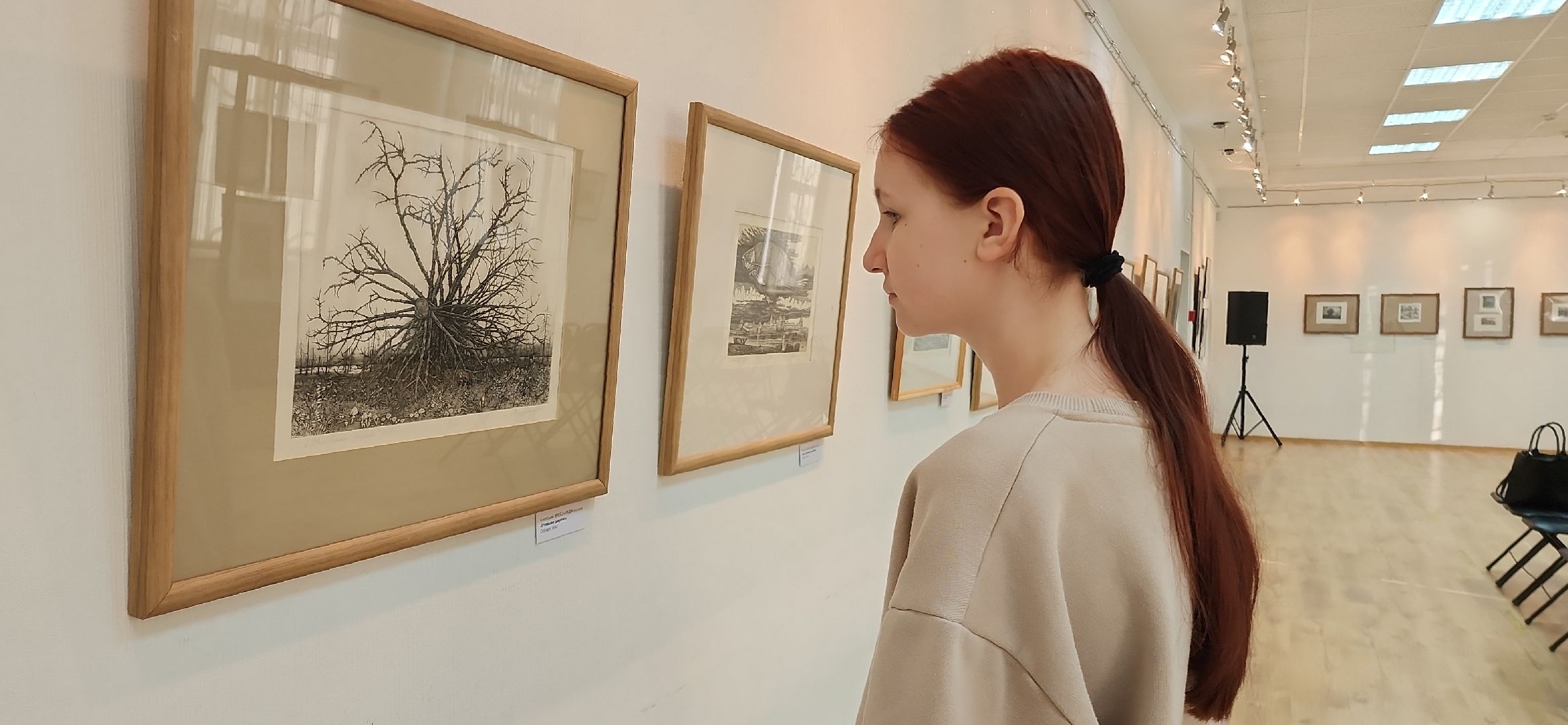 электросталь, мой город, жители города, культура, культура и туризм в подмосковье, культура подмосковья, фестиваль, художественная выставка, художественная галерея,