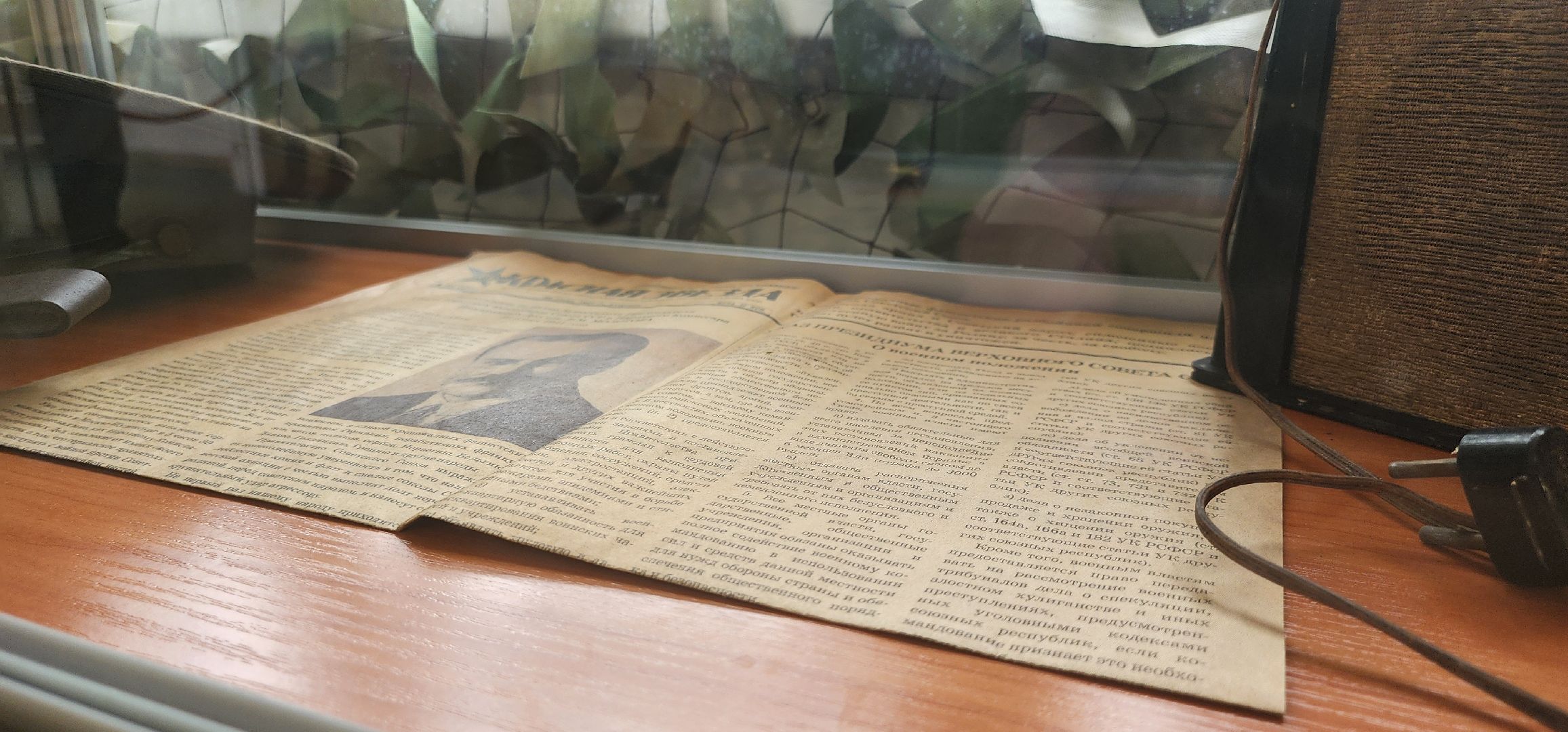 музей СВО, Вечный ZoV, школа 9, Домодедово,