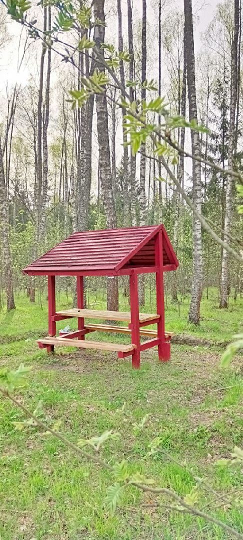 Талдом, Талдомское лесничество,