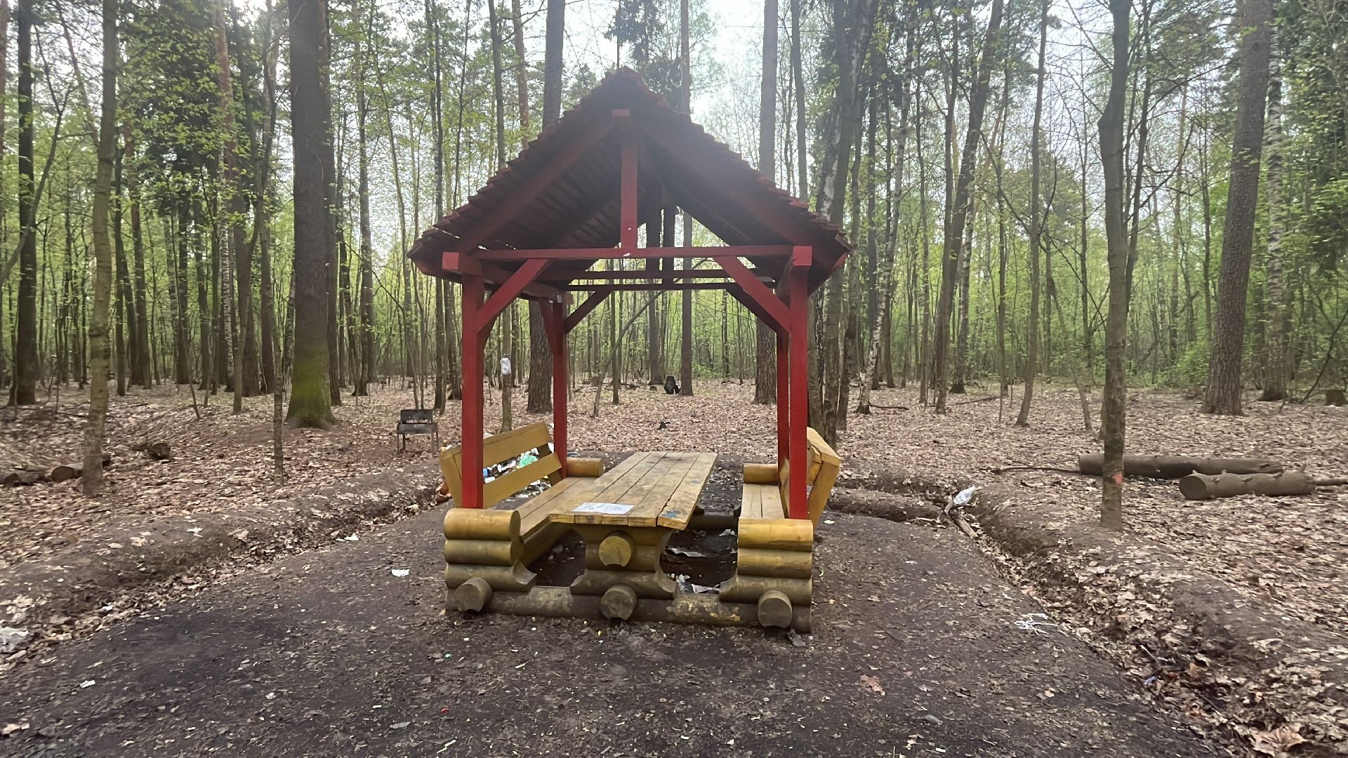 шашлык, шашлыки, шашлык в лесу, жарить шашлык, мангал, место для мангала,