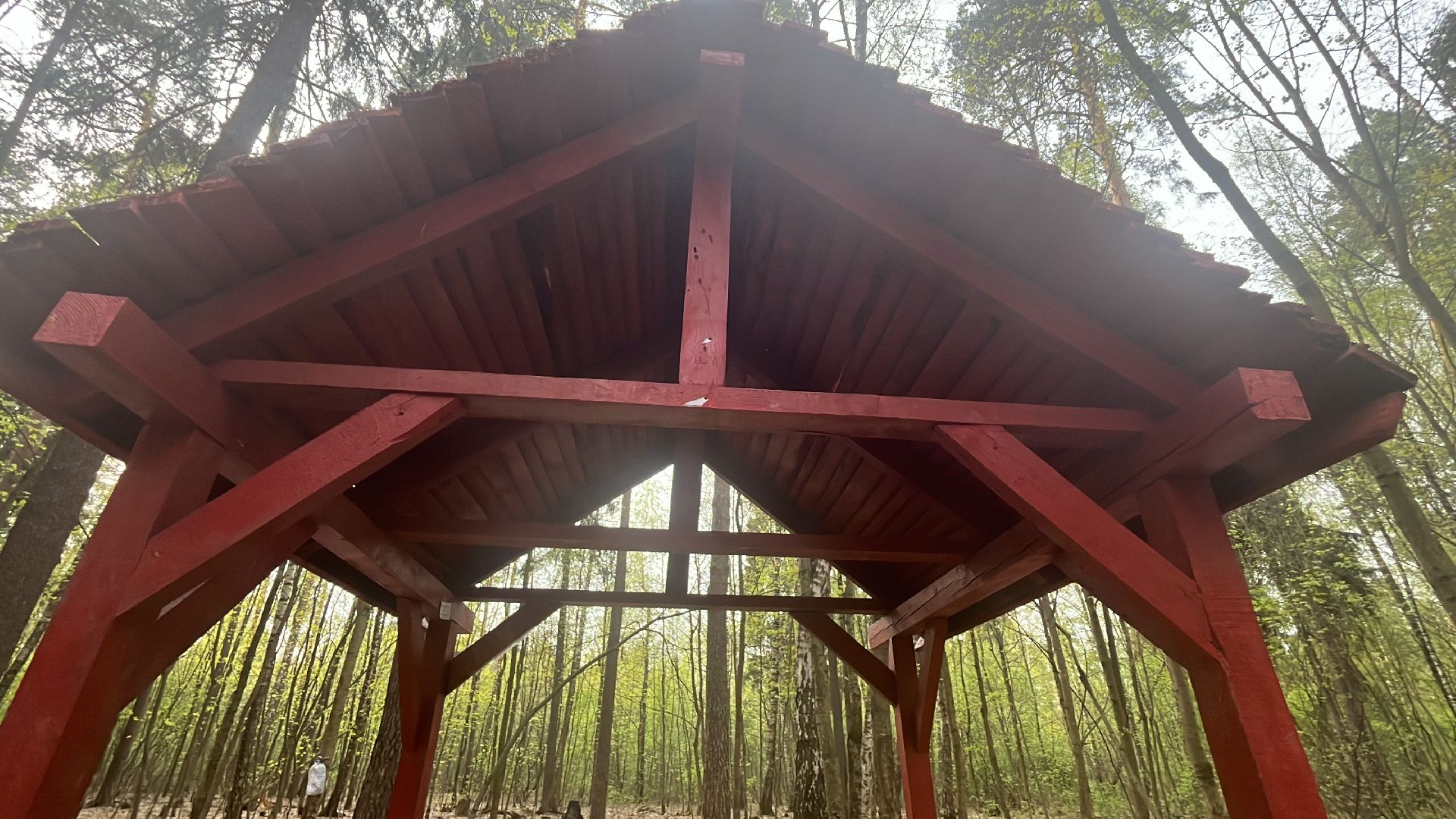 шашлык, шашлыки, шашлык в лесу, жарить шашлык, мангал, место для мангала,