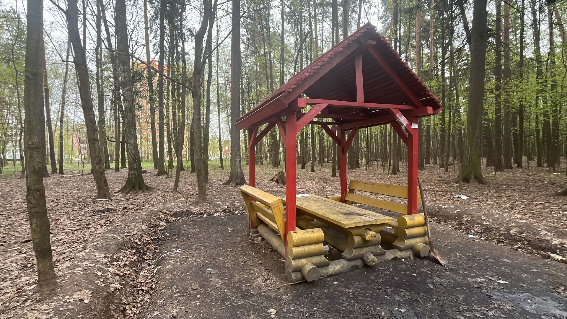 шашлык, шашлыки, шашлык в лесу, жарить шашлык, мангал, место для мангала,