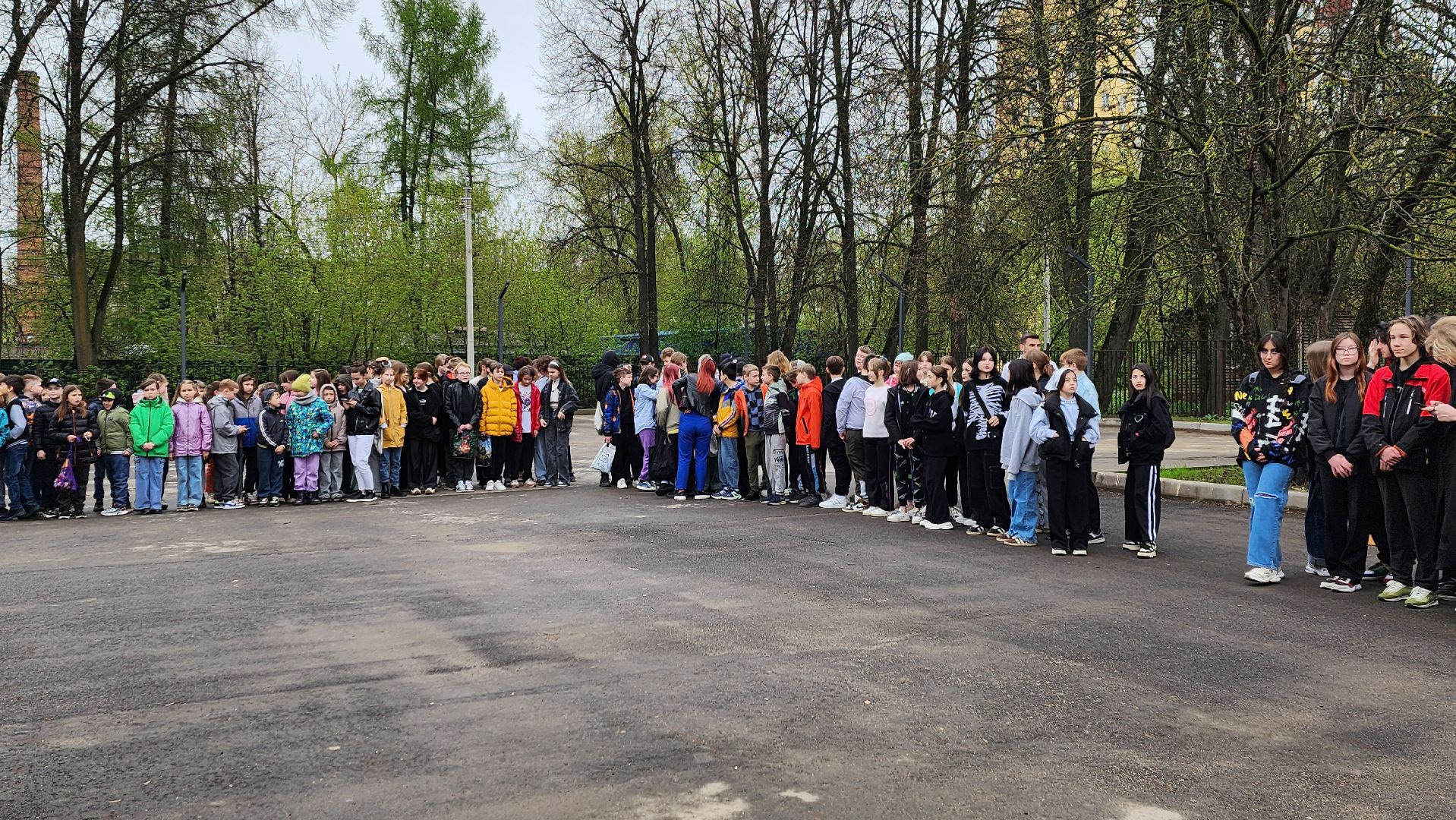 Солнечногорск, лицей 7, школьники, посадка деревьев, день добрых дел,