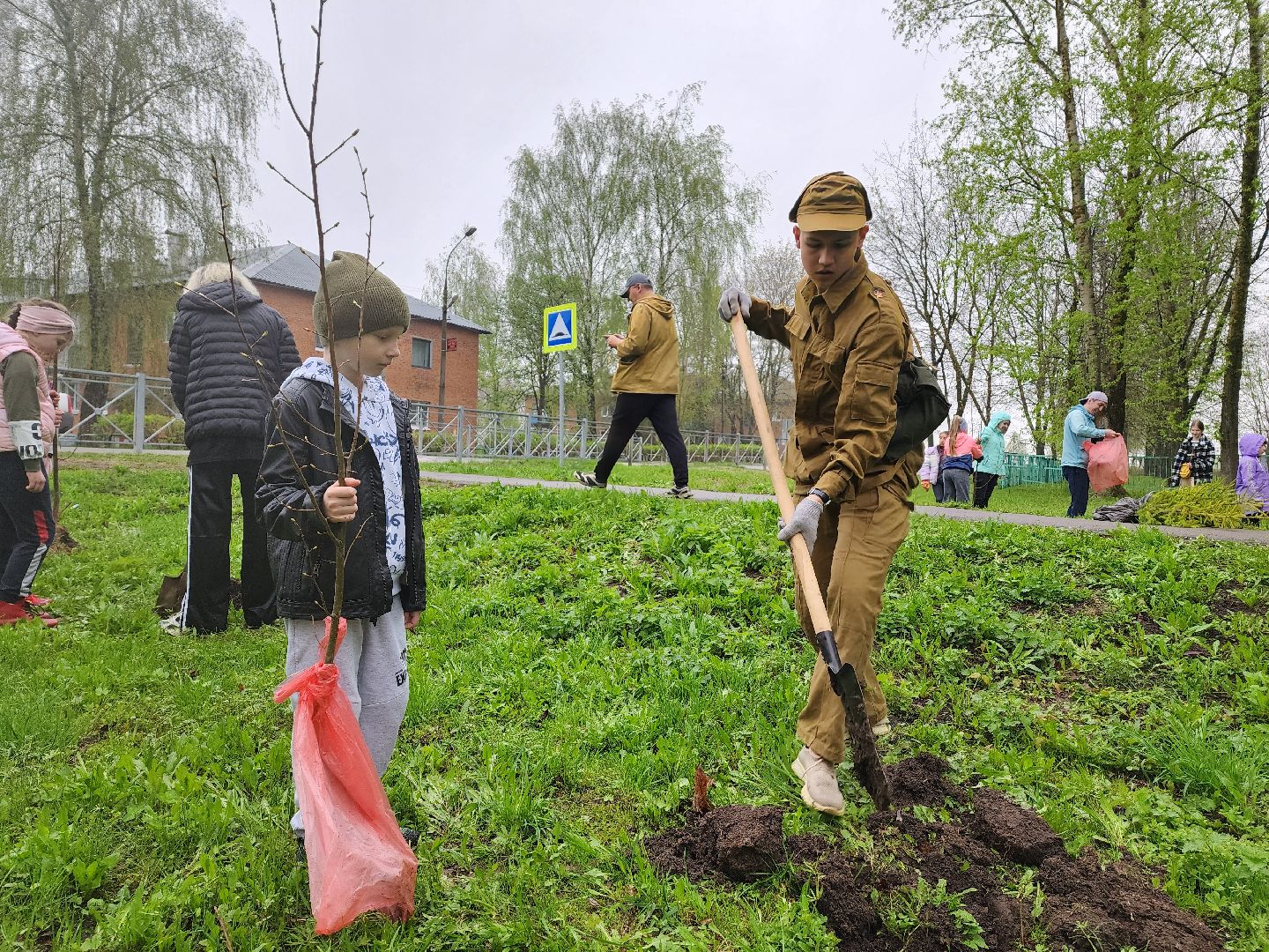 воскресенск, день добрых дел, деревья, школьники,
