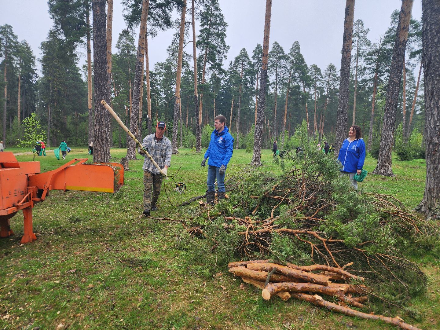 субботник, орехово-зуево,