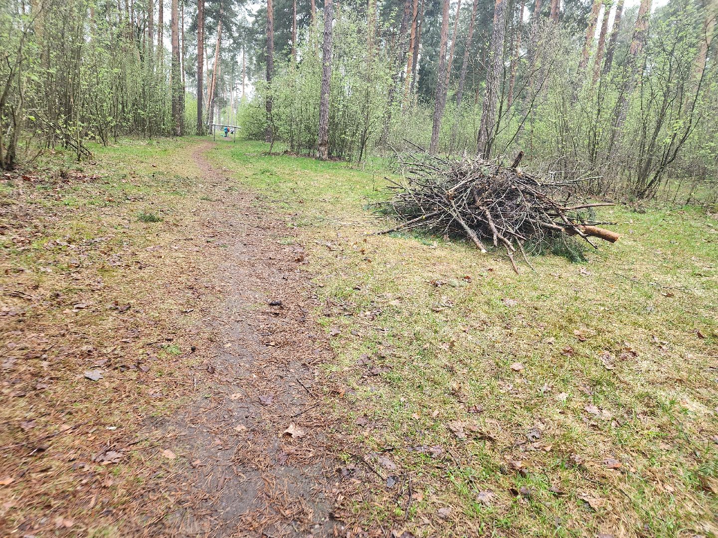 субботник, орехово зуево,