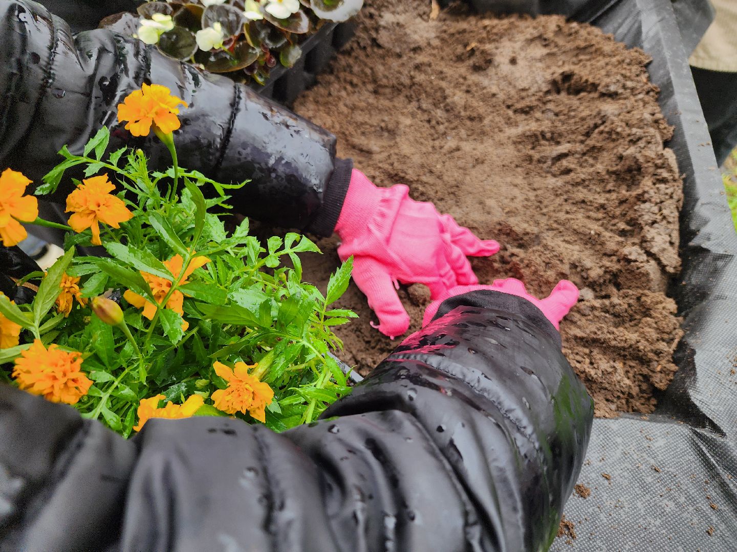 день добрых дел, орехово-зуево,