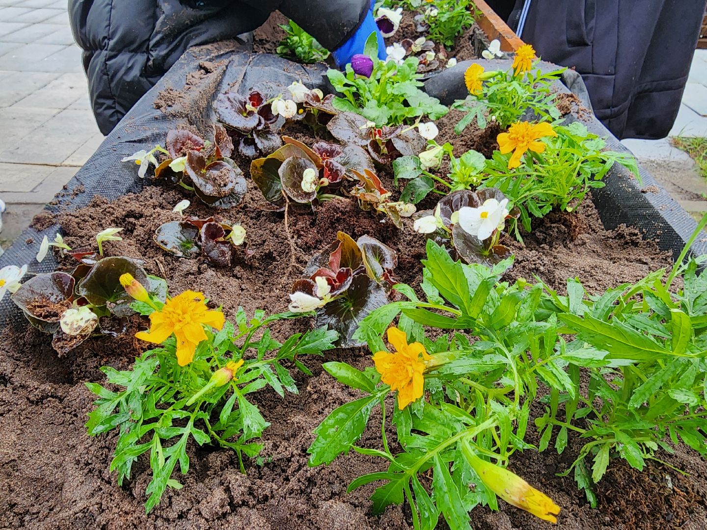 день добрых дел, орехово-зуево,