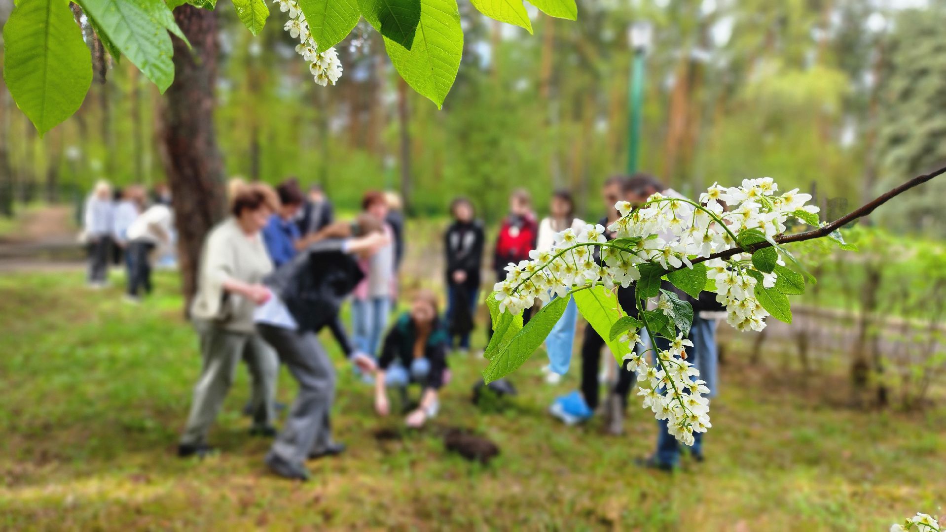 ддд, день добрых дел, протвино, посадка деревьев, лицей2, дети,