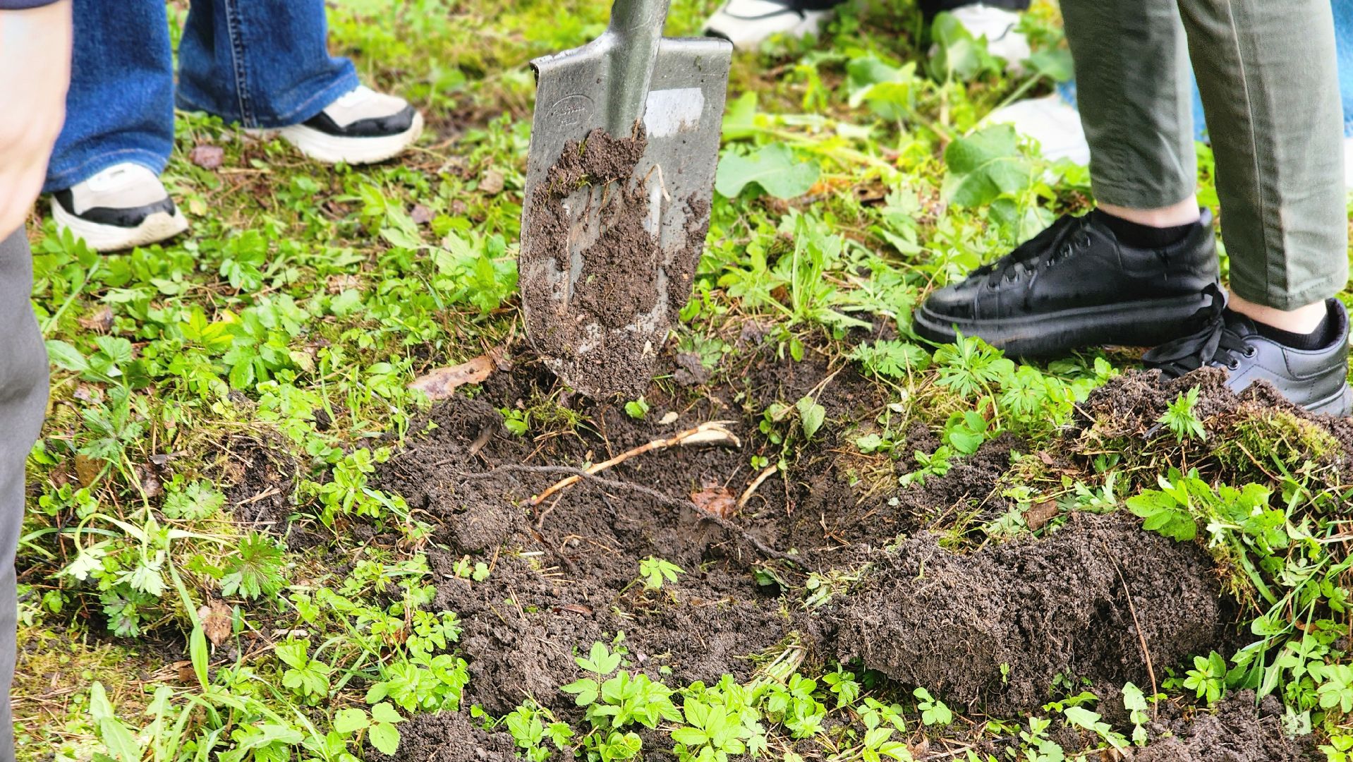 ддд, день добрых дел, протвино, посадка деревьев, лицей2, дети,