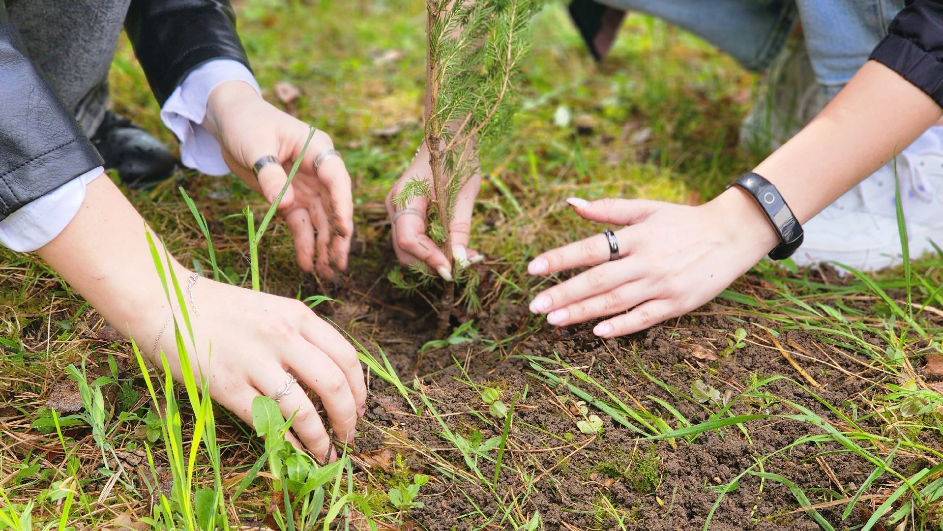 ддд, день добрых дел, протвино, посадка деревьев, лицей2, дети,
