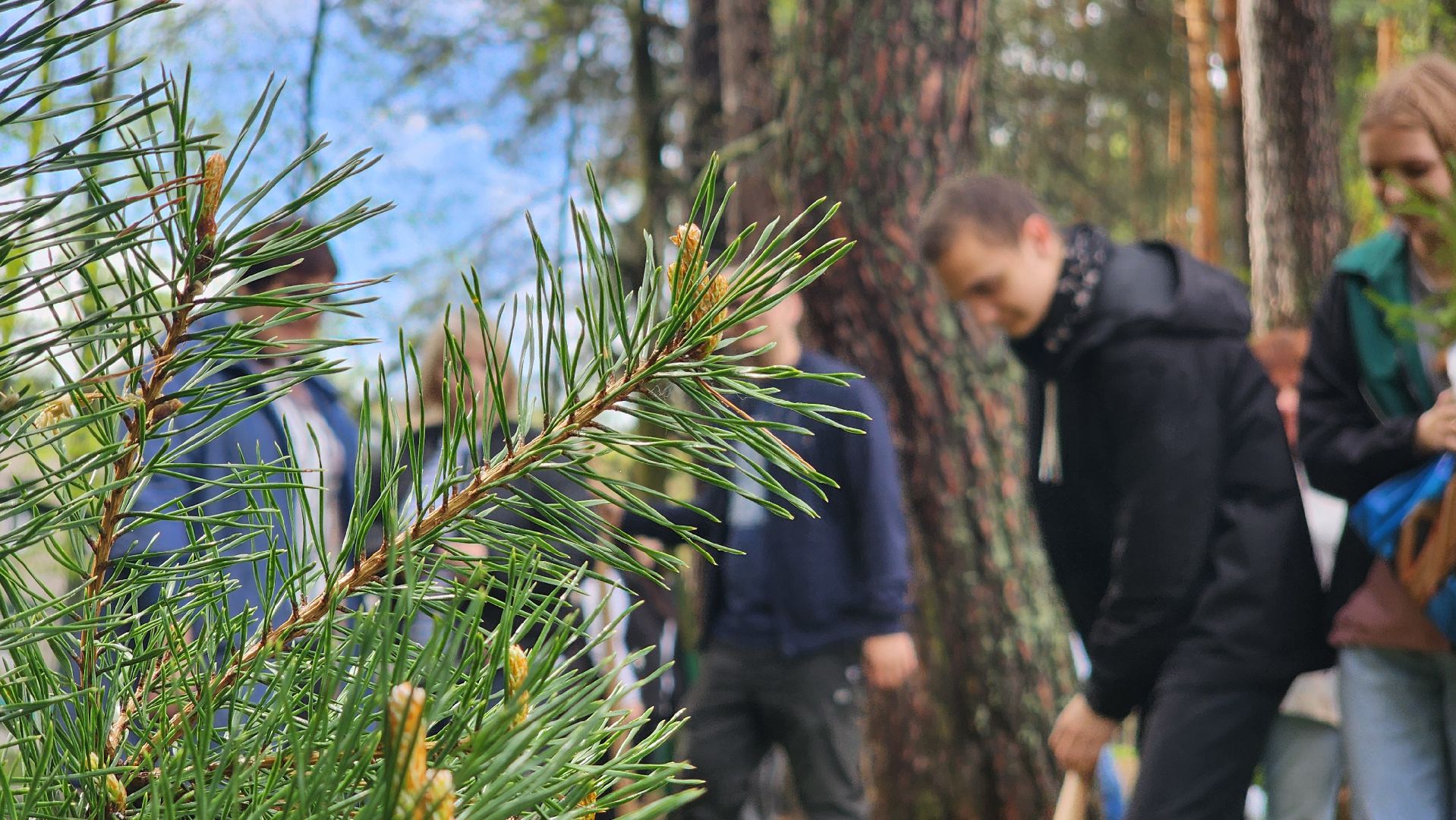 ддд, день добрых дел, протвино, посадка деревьев, лицей2, дети,