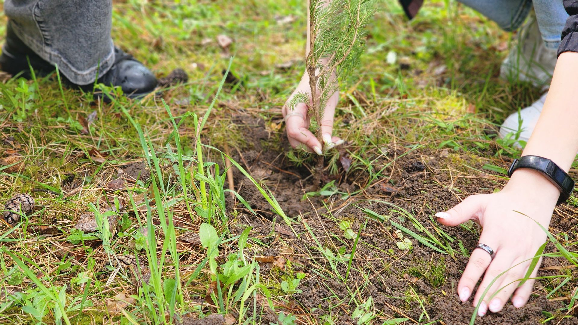 ддд, день добрых дел, протвино, посадка деревьев, лицей2, дети,