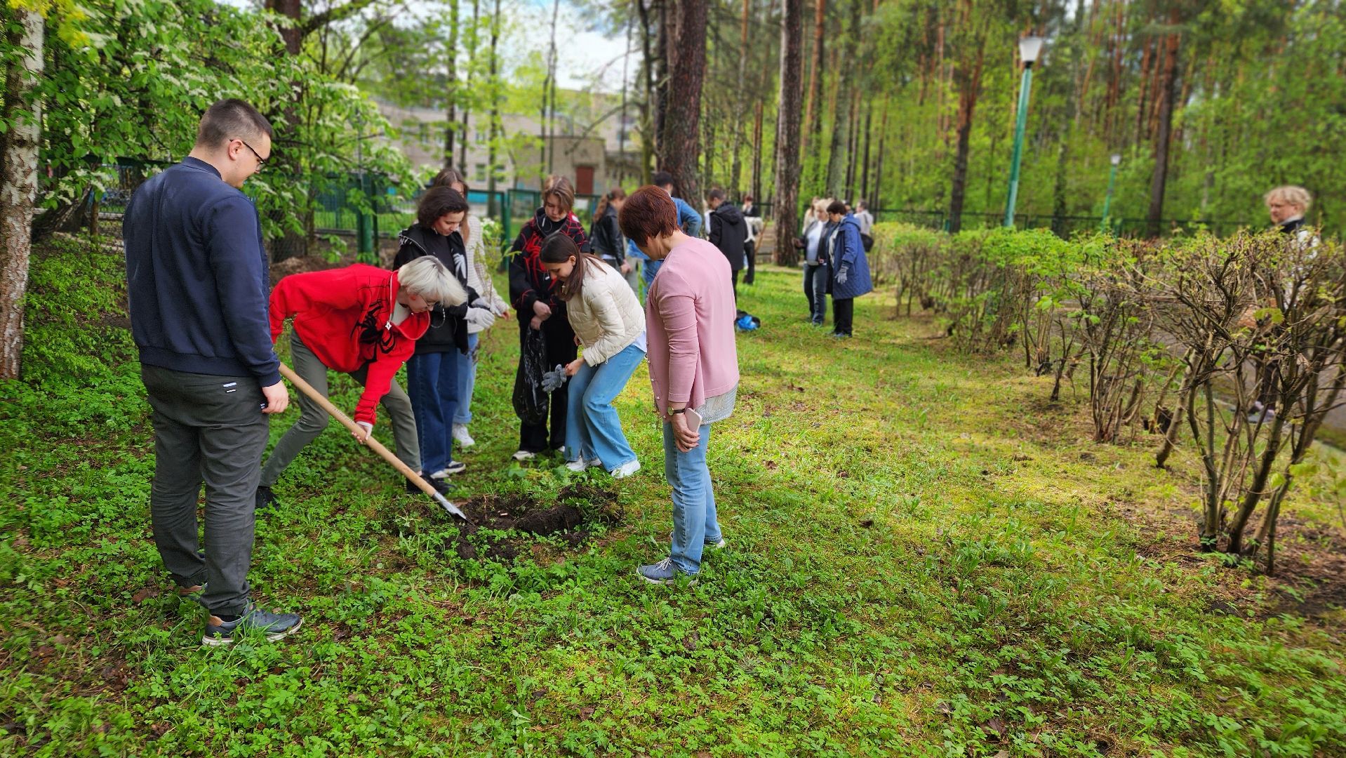ддд, день добрых дел, протвино, посадка деревьев, лицей2, дети,