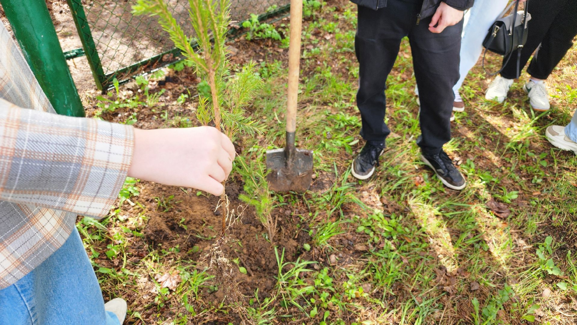 ддд, день добрых дел, протвино, посадка деревьев, лицей2, дети,