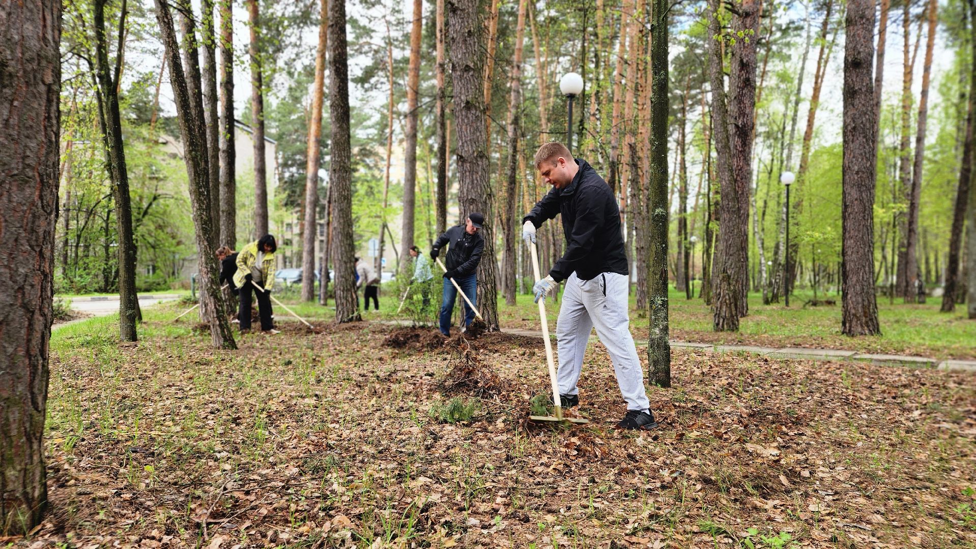 протвино, ддд, день добрых дел, субботник, общегородской субботник,
