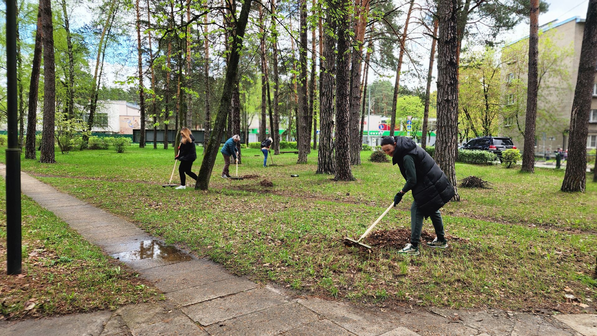 протвино, ддд, день добрых дел, субботник, общегородской субботник,