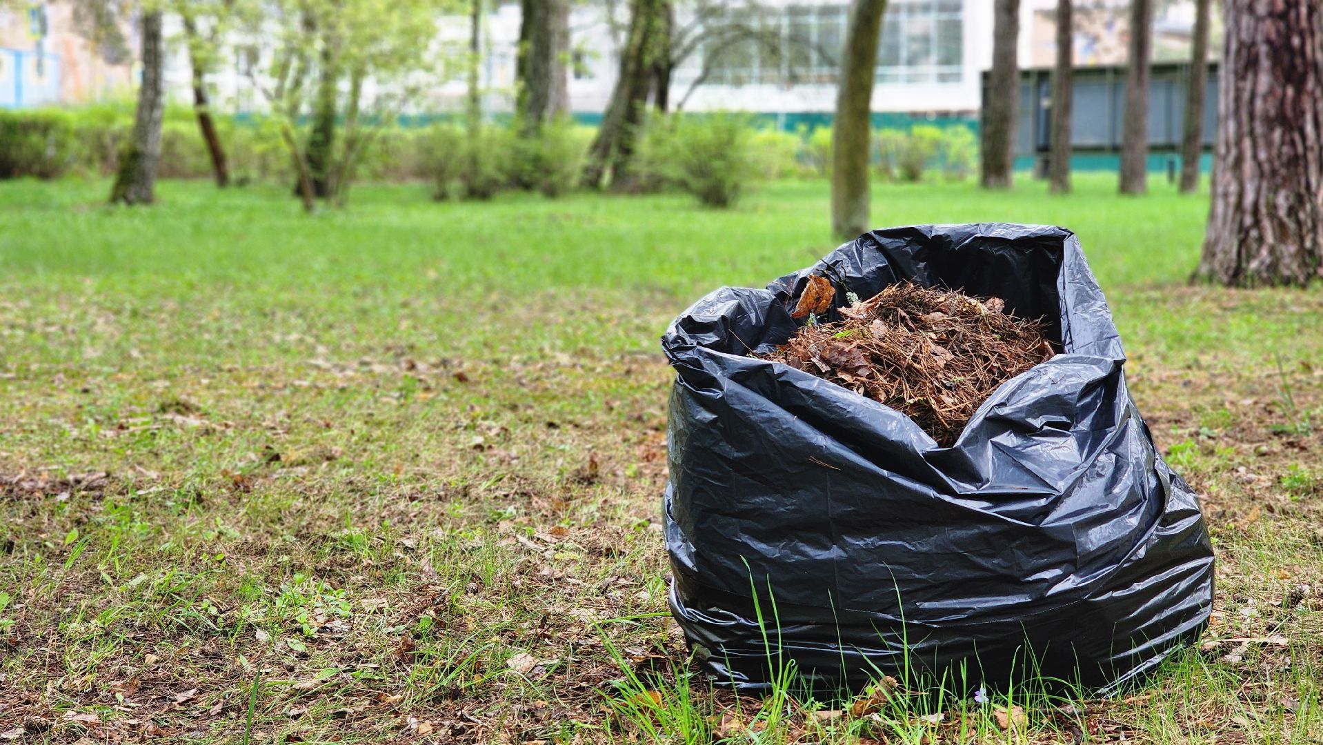 протвино, ддд, день добрых дел, субботник, общегородской субботник,
