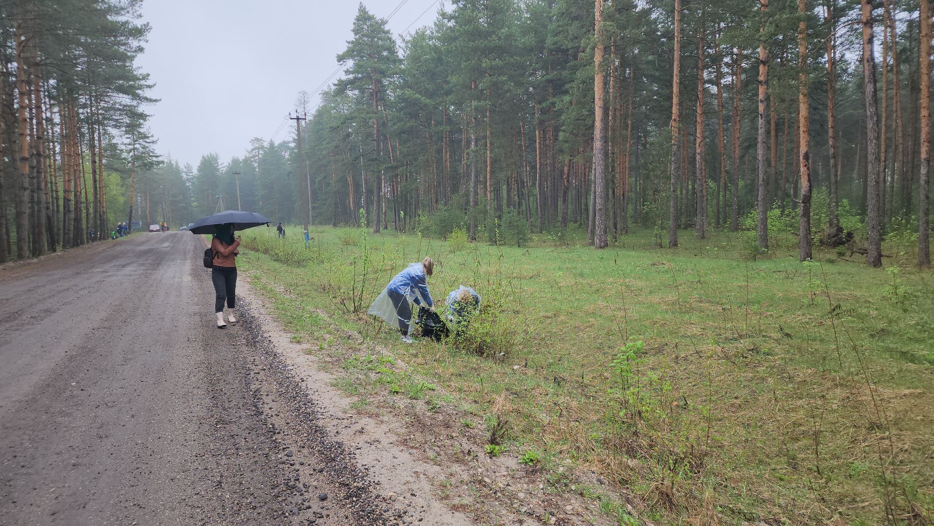 субботник, лес, лесничество, уборка, областной субботник, егорьевск, Бреховская,