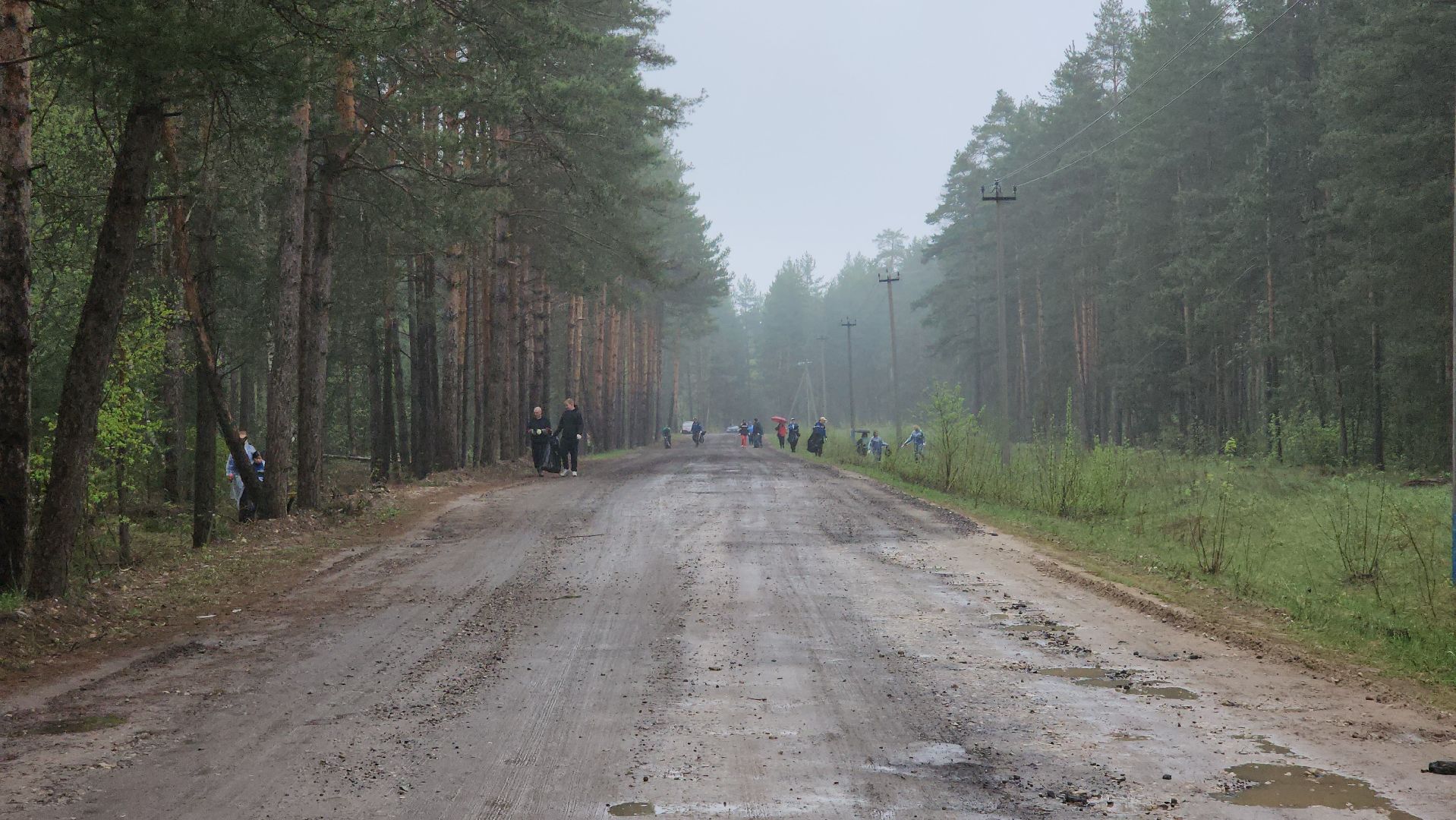 субботник, лес, лесничество, уборка, областной субботник, егорьевск, Бреховская,