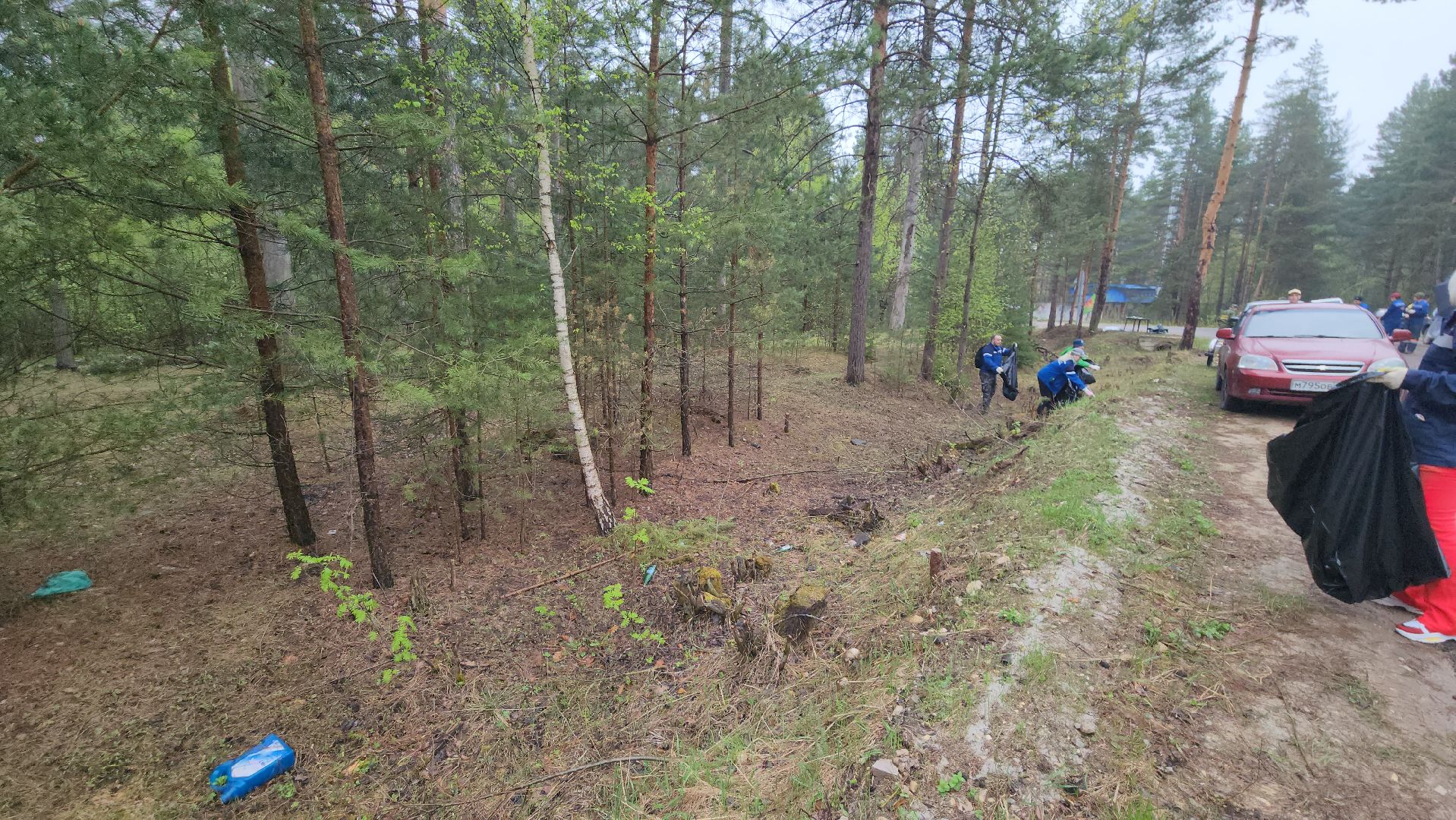 субботник, лес, лесничество, уборка, областной субботник, егорьевск, Бреховская,
