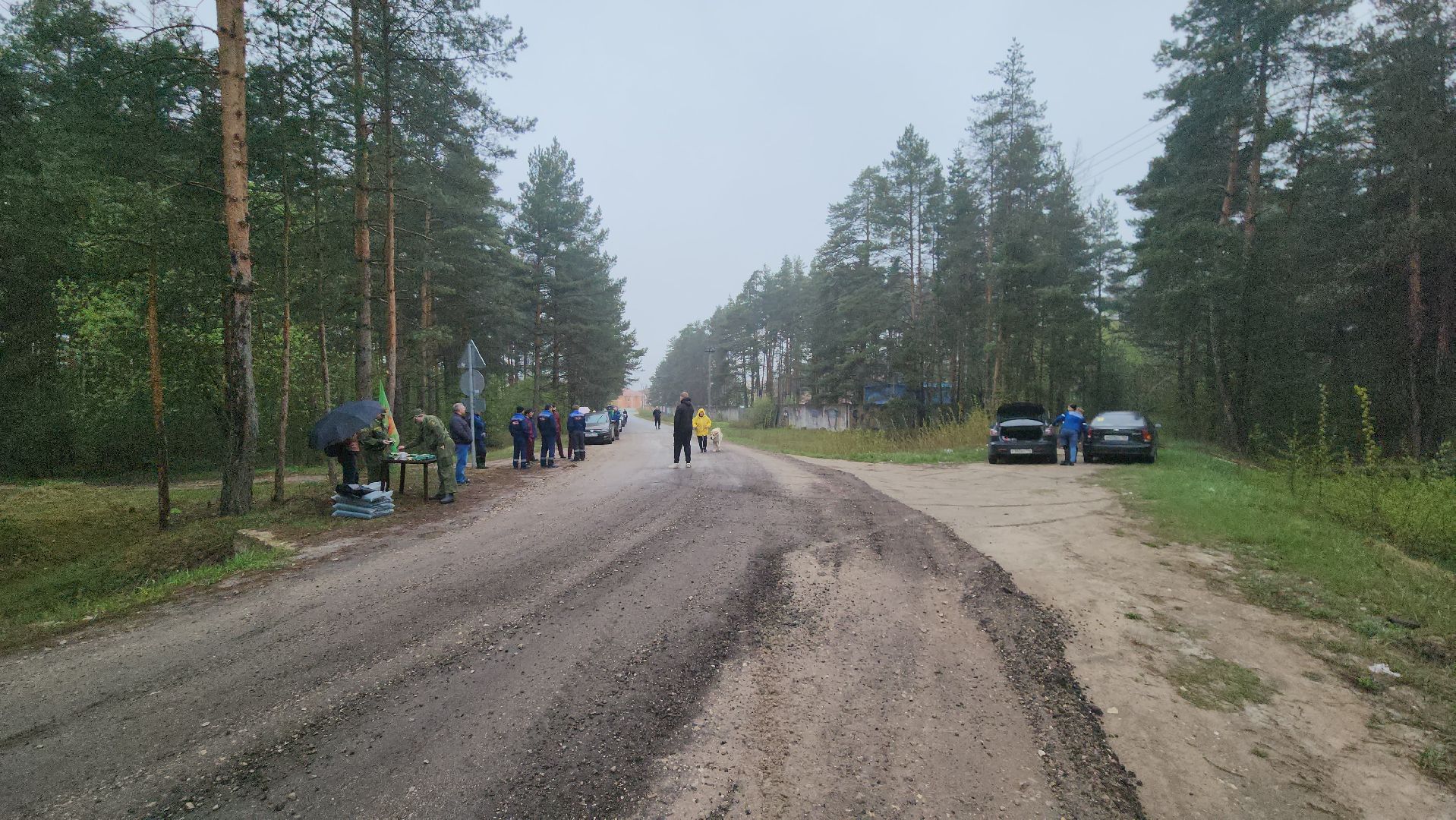 субботник, лес, лесничество, уборка, областной субботник, егорьевск, Бреховская,