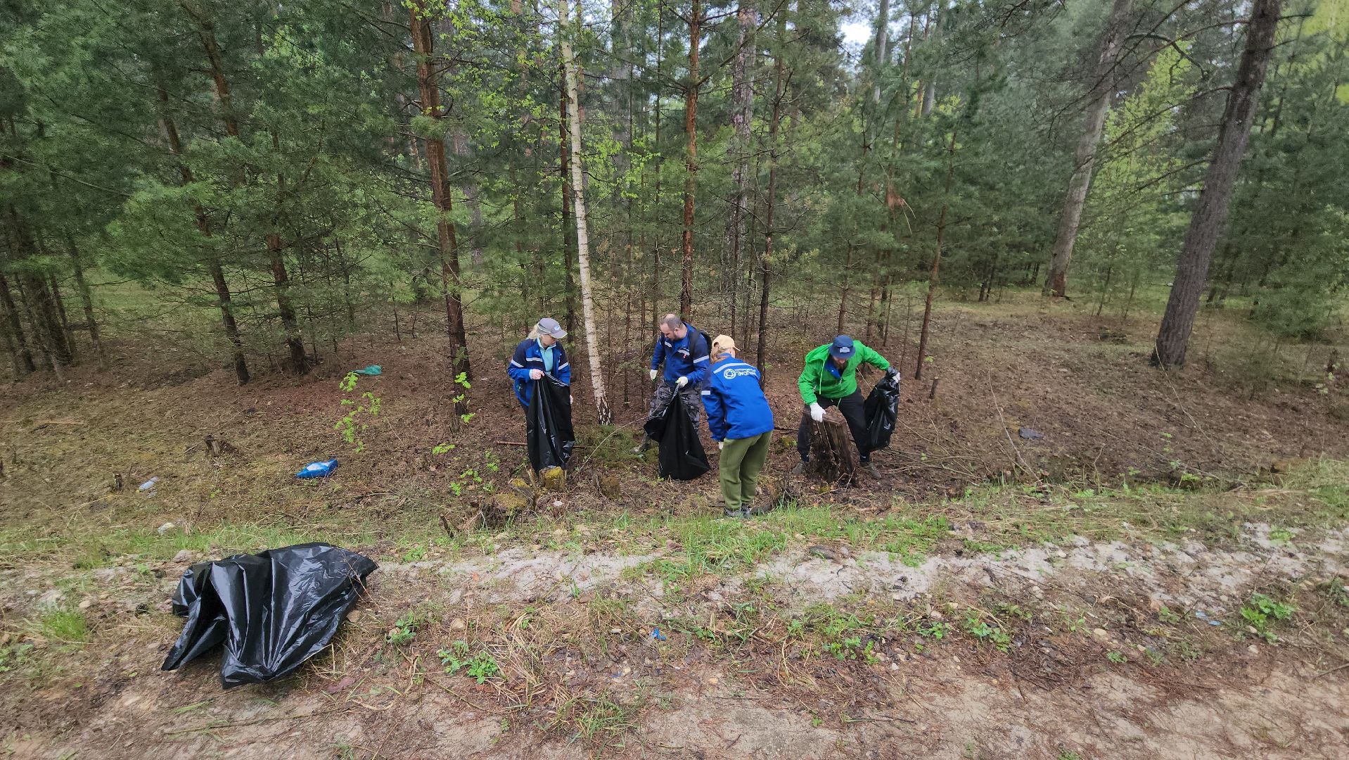 субботник, лес, лесничество, уборка, областной субботник, егорьевск, Бреховская,