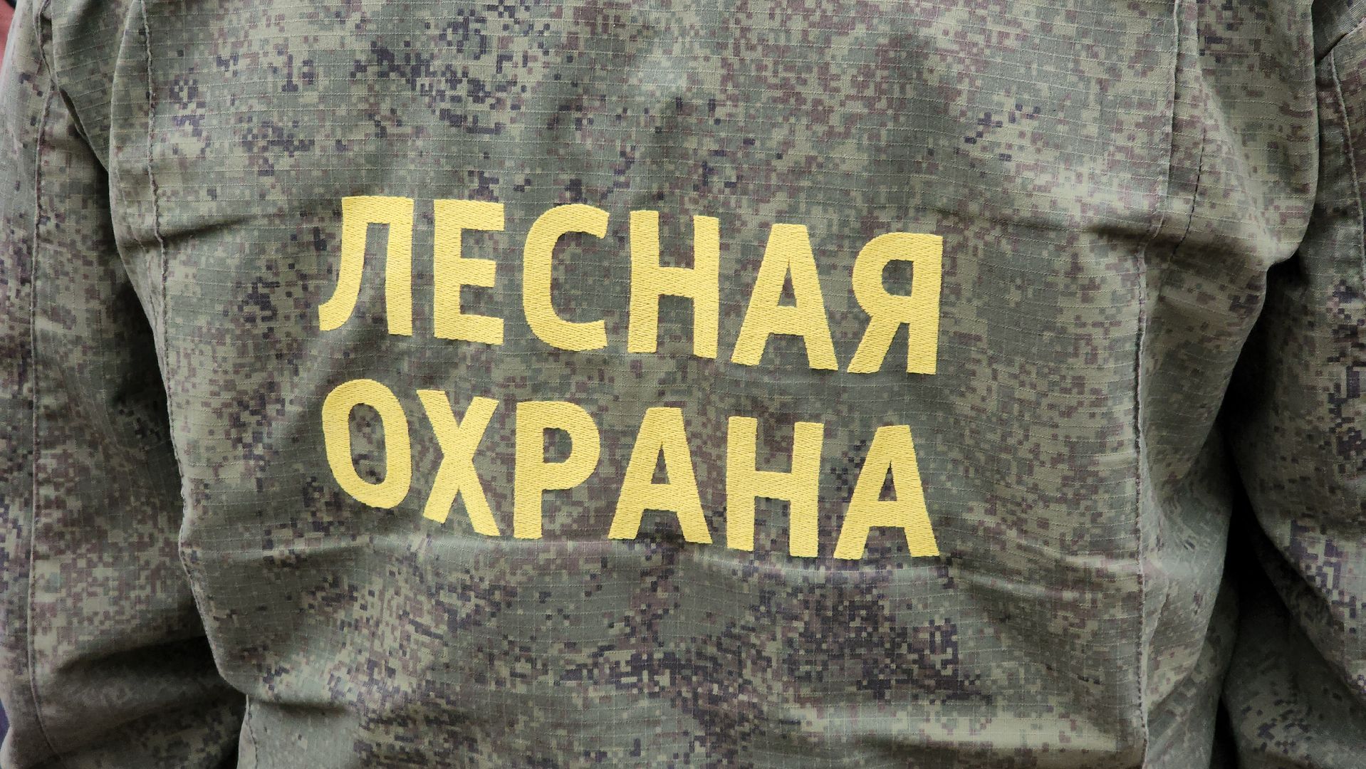 субботник, лес, лесничество, уборка, областной субботник, егорьевск, Бреховская,