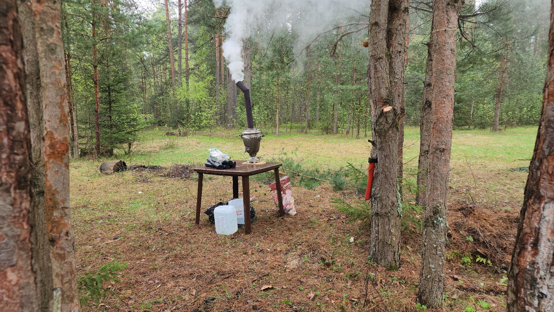 субботник, лес, лесничество, уборка, областной субботник, егорьевск, Бреховская,