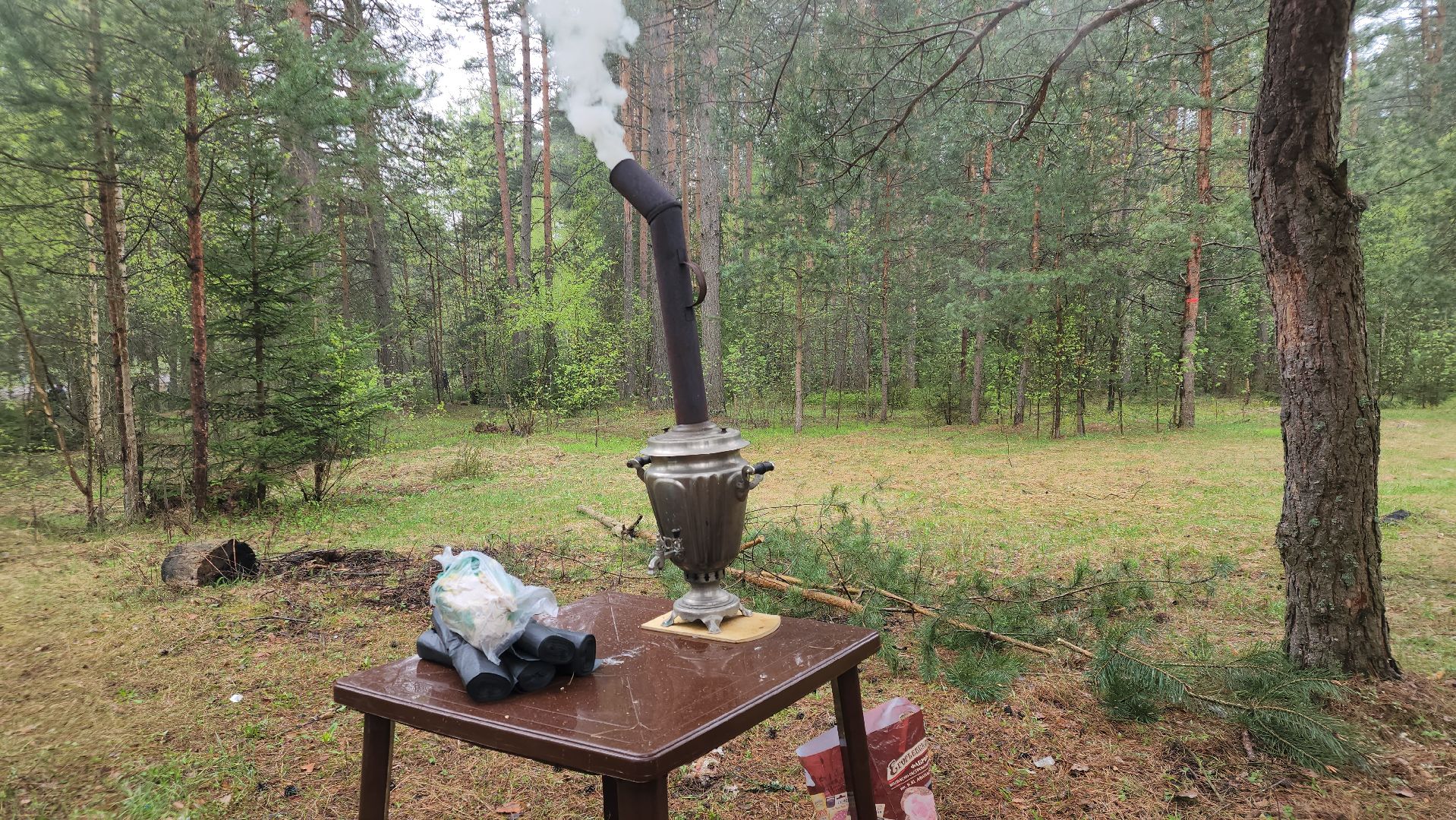 субботник, лес, лесничество, уборка, областной субботник, егорьевск, Бреховская,