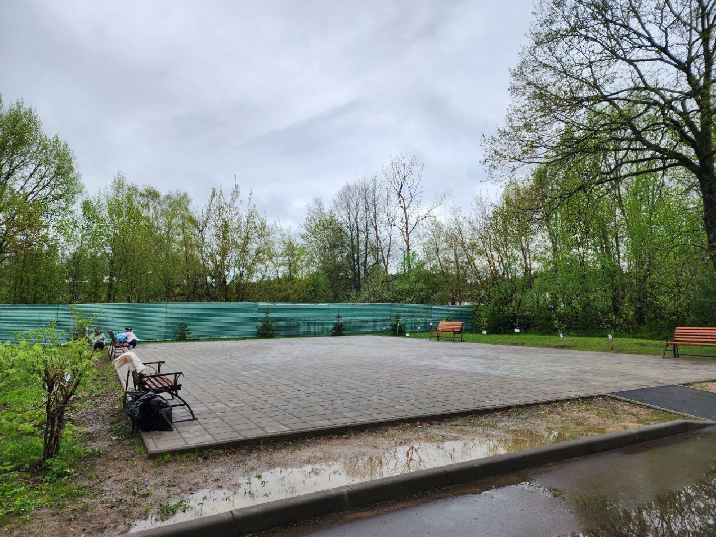 чехов, день добрых дел, субботник, аллея памяти, школьники, сирень,