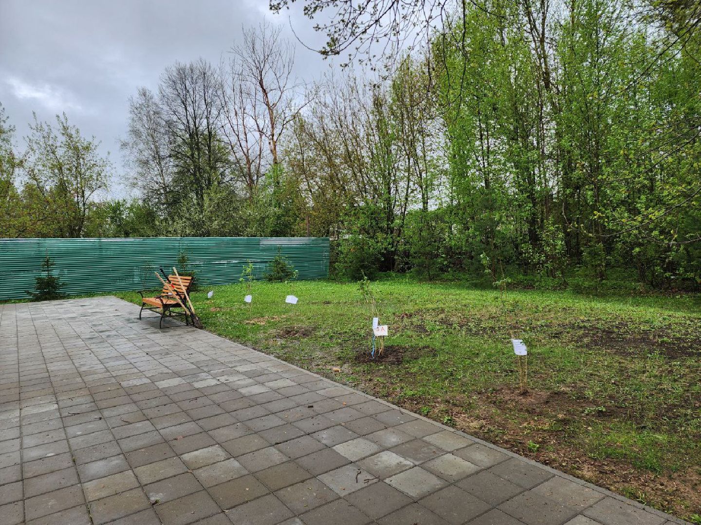 чехов, день добрых дел, субботник, аллея памяти, школьники, сирень,