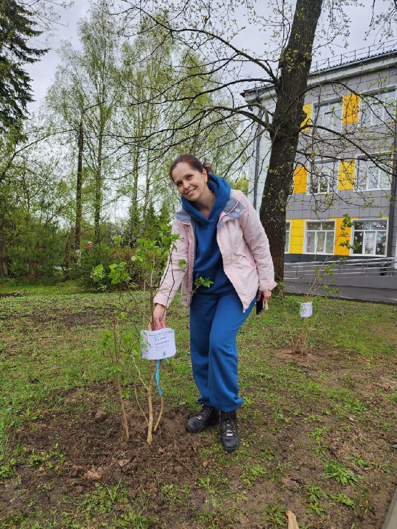 чехов, день добрых дел, субботник, аллея памяти, школьники, сирень,