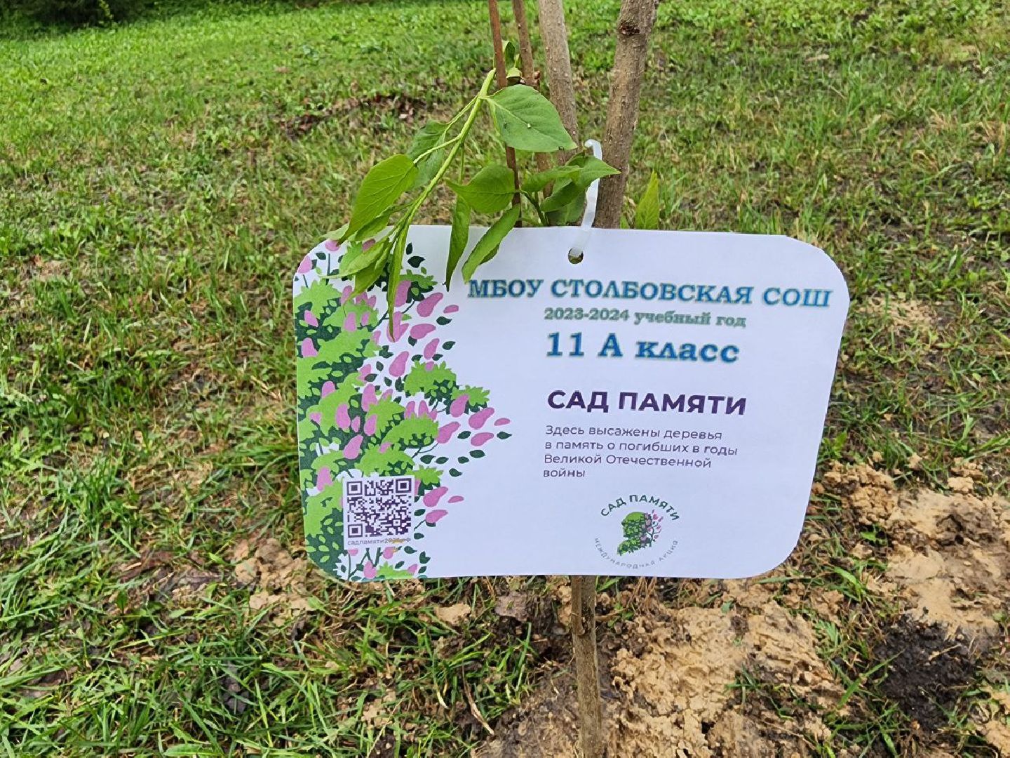 чехов, день добрых дел, субботник, аллея памяти, школьники, сирень,